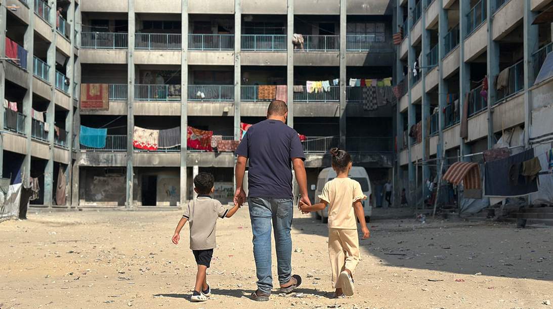 Palestine Observatory - Report: Monday 29 June 2026
