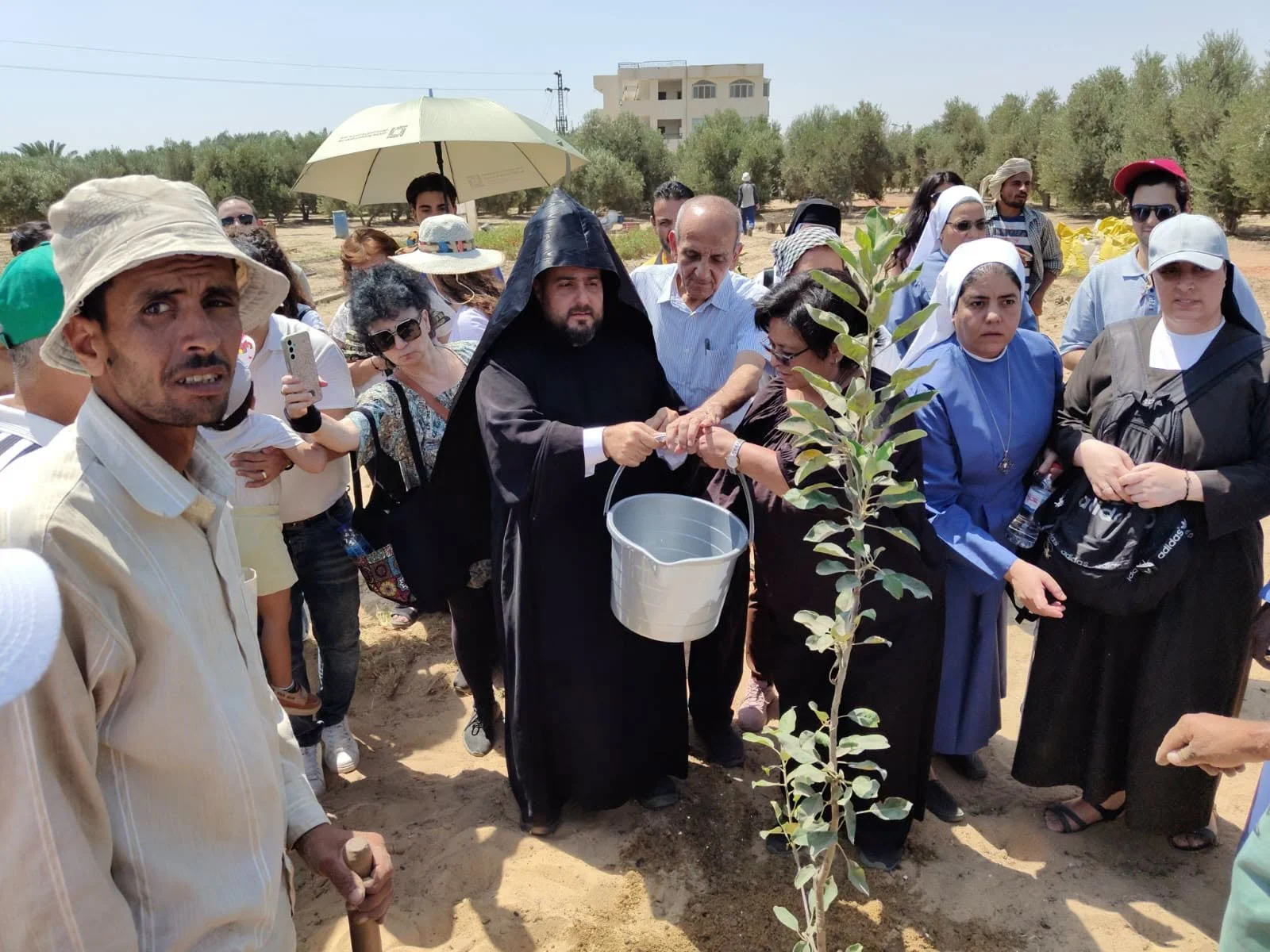 The Middle East Council of Churches Launches the 2026 Season of Creation in Ismailia and the Suez Canal