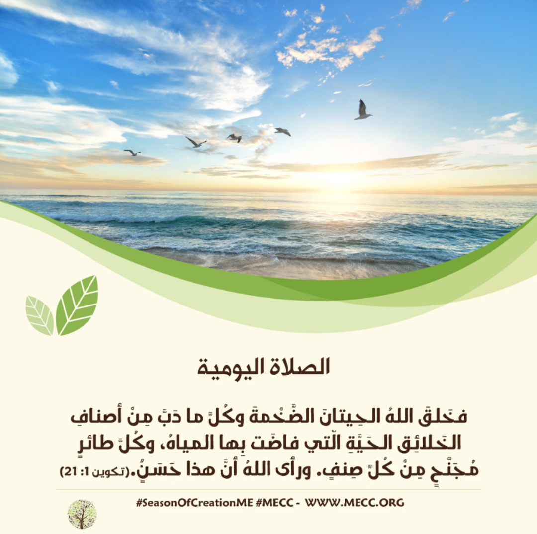 معًا نصلّي - زمن الخليقة