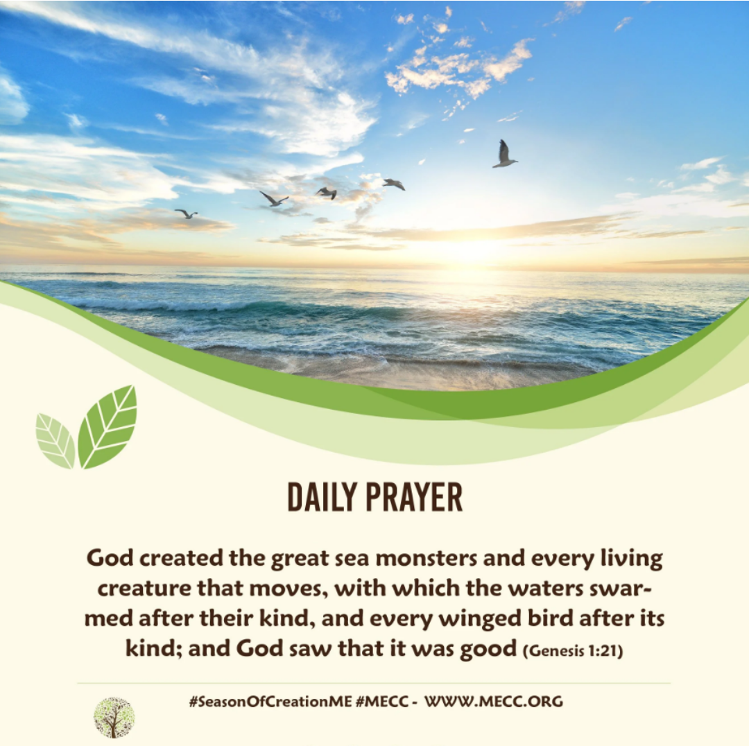 Praying Together - Season of Creation