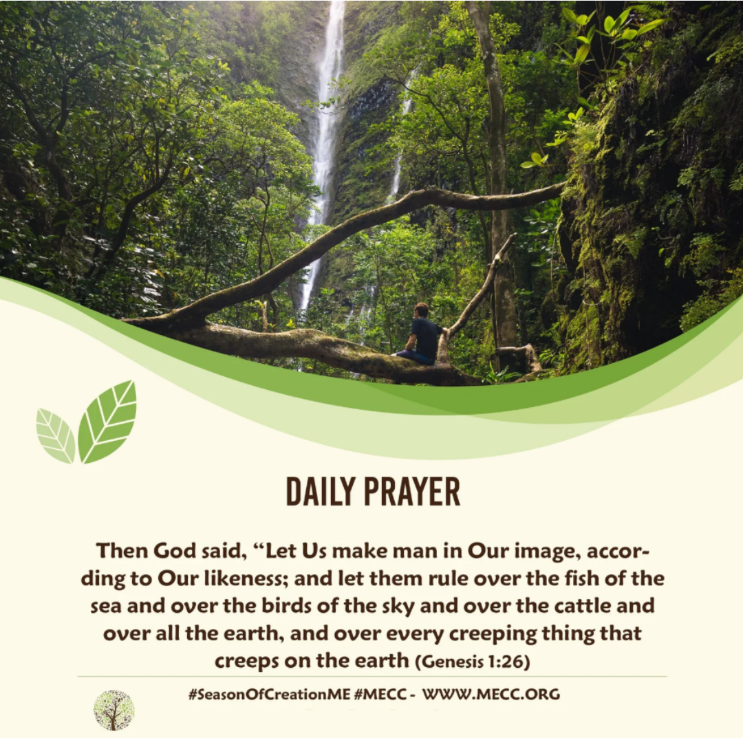 Praying Together - Season of Creation