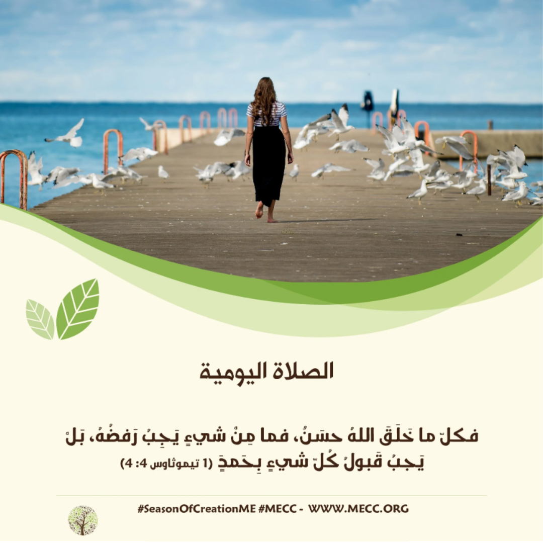 معًا نصلّي - زمن الخليقة
