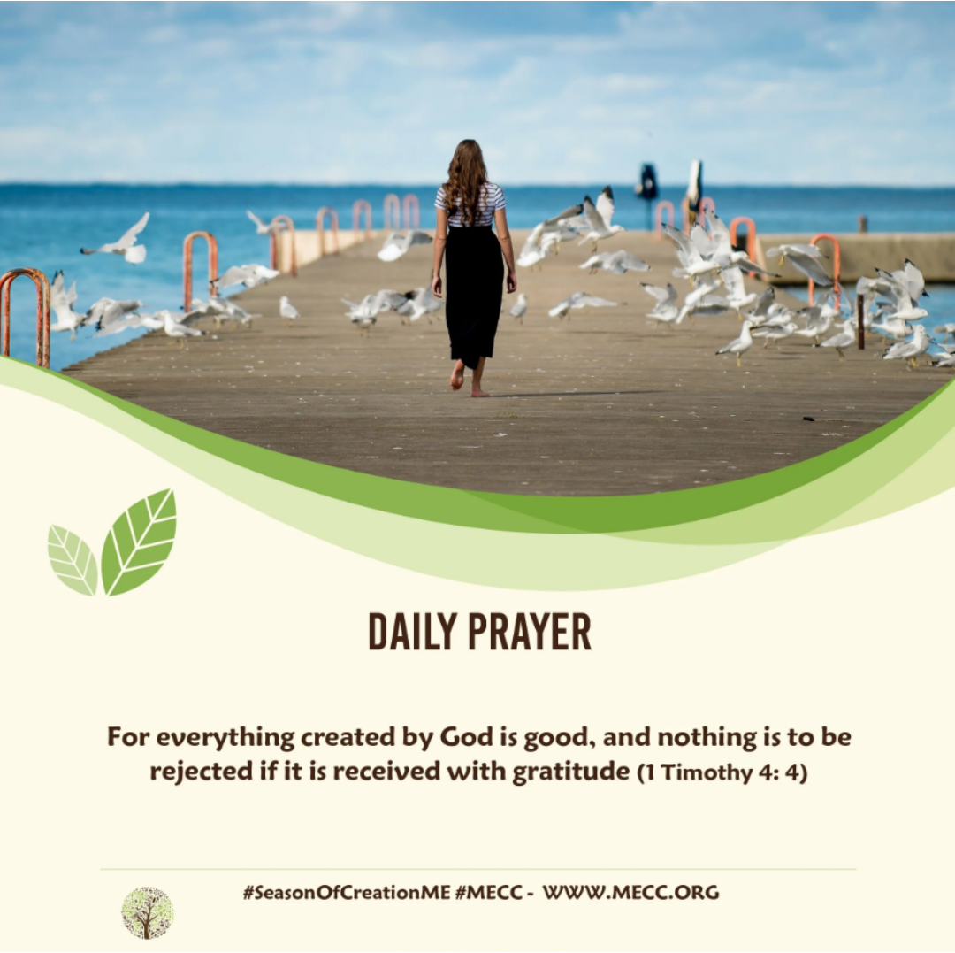 Praying Together - Season of Creation