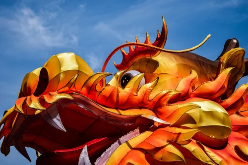 Dragon City, business photo 1