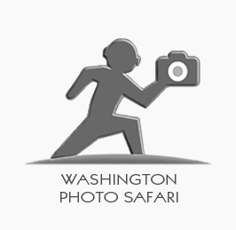 Washington Photo Safari