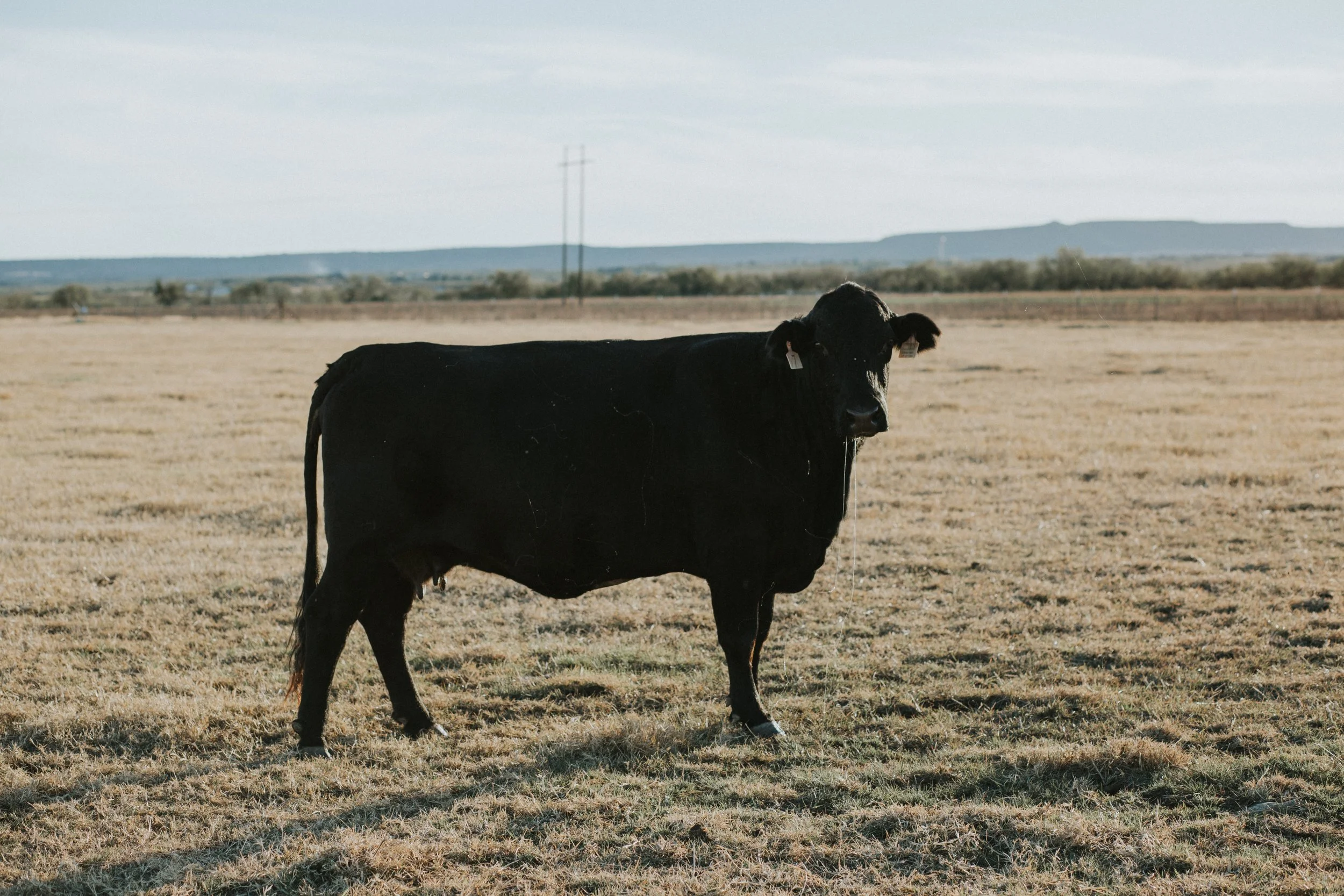 conner-baker-455258-unsplash.jpg