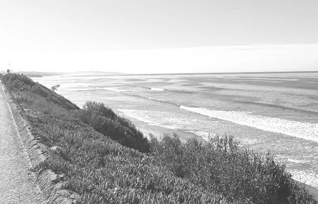 SWAMIS%2B625x400.jpg