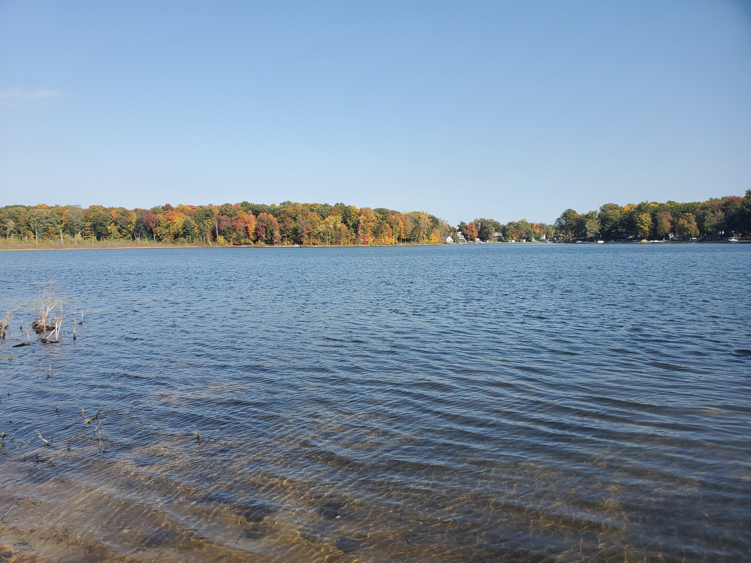 Beautiful Fall View