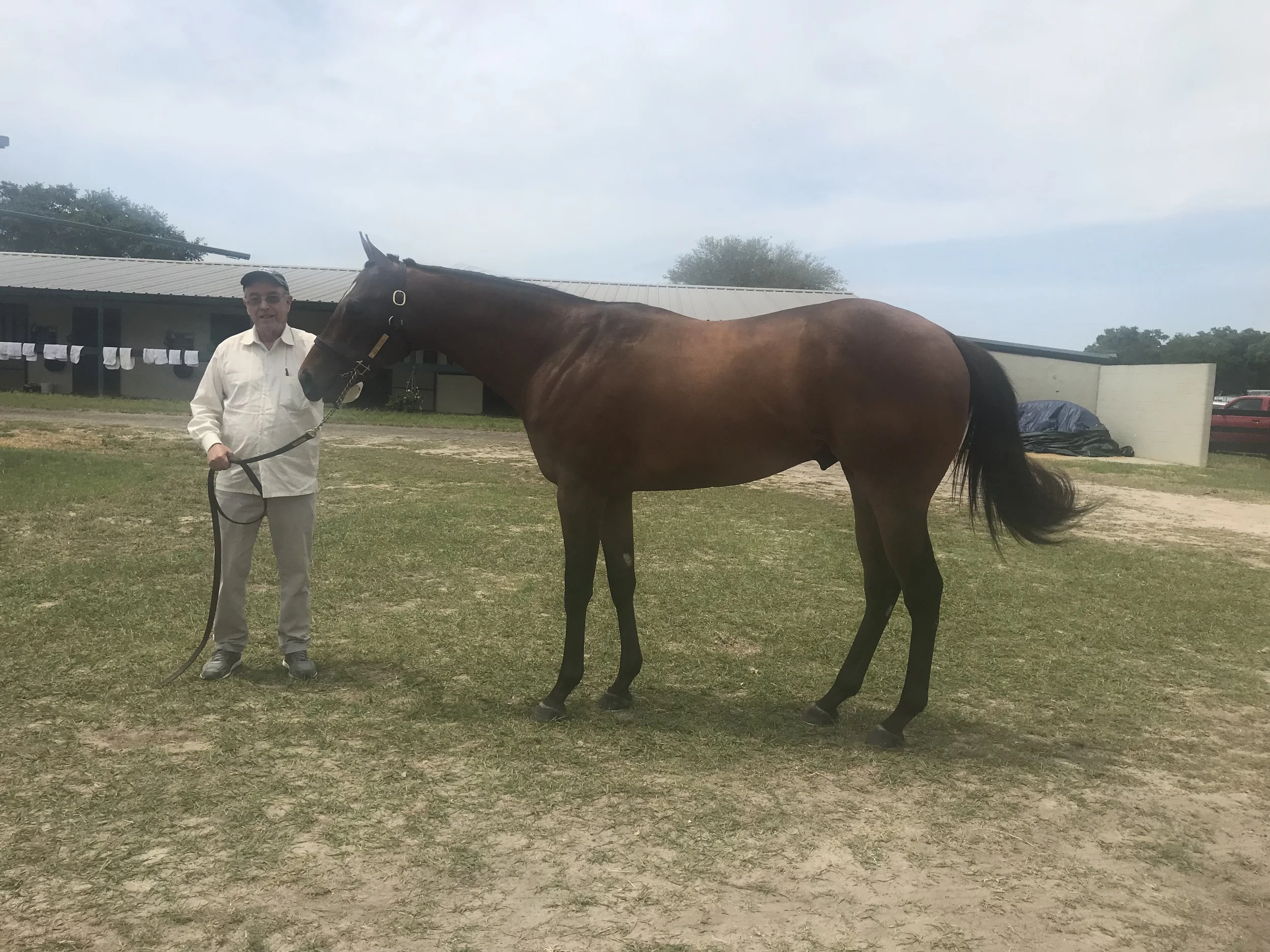 Two Year Old Purchase