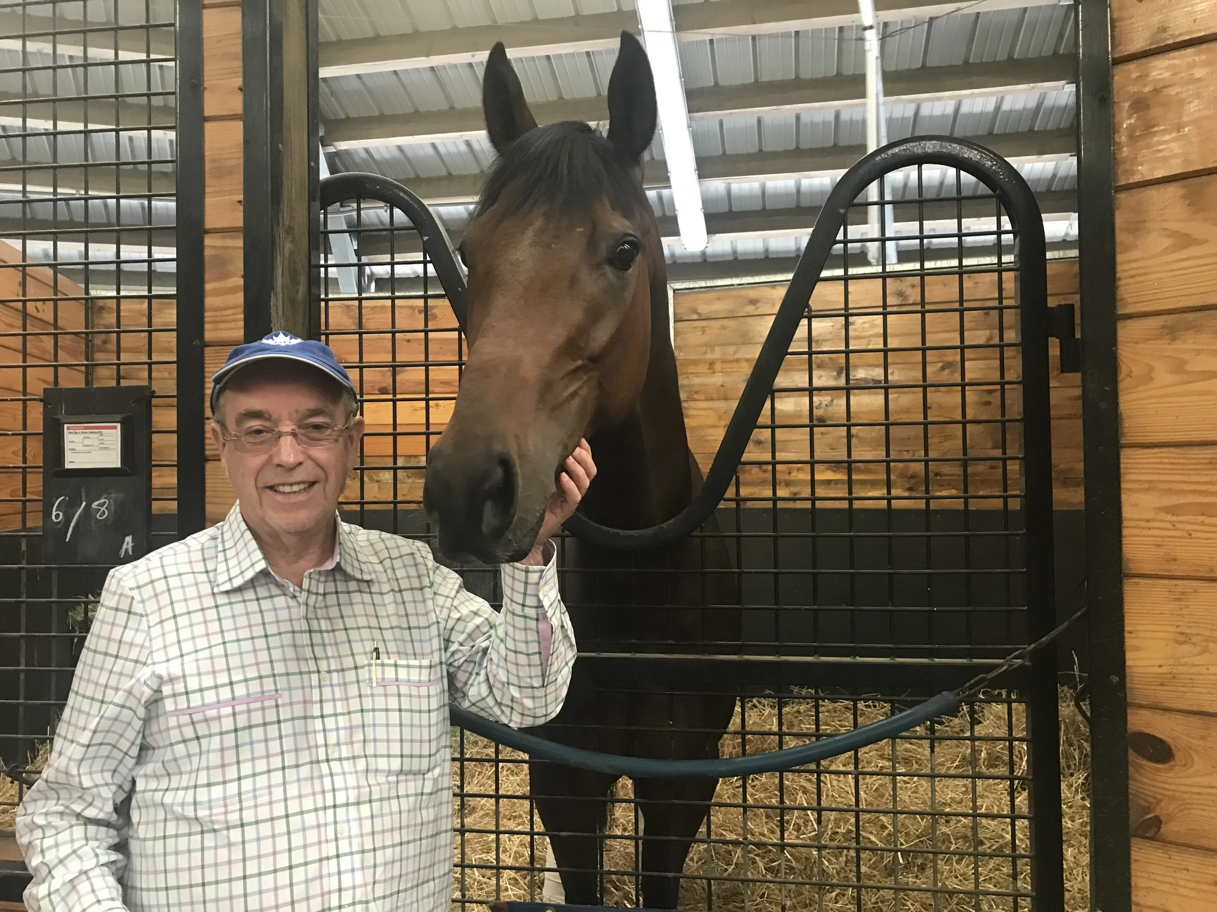 Inclusive wins his three year old debut! 