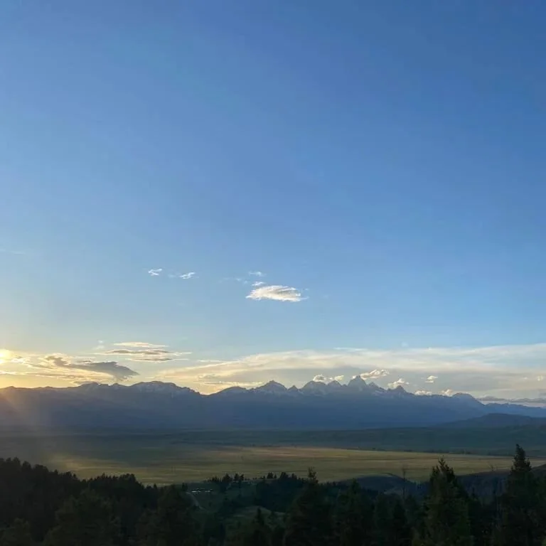 To those who have served and are serving... Thank You.
You paved the way for us and allowed so many liberties in our day to day. Enjoy your day with those you love. Hold them tight. Call a veteran and say thank you. Also, remember that they were a ve