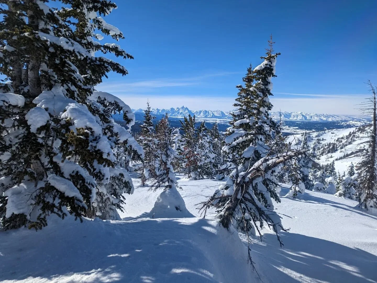 #24fortmp is complete again this yr.
For those who don't know, we run an event every 24th of January to honor the memory of Travis Partyka. He was more than a man, he truly was one of the greatest men we ever had the honor of knowing. This yr looked