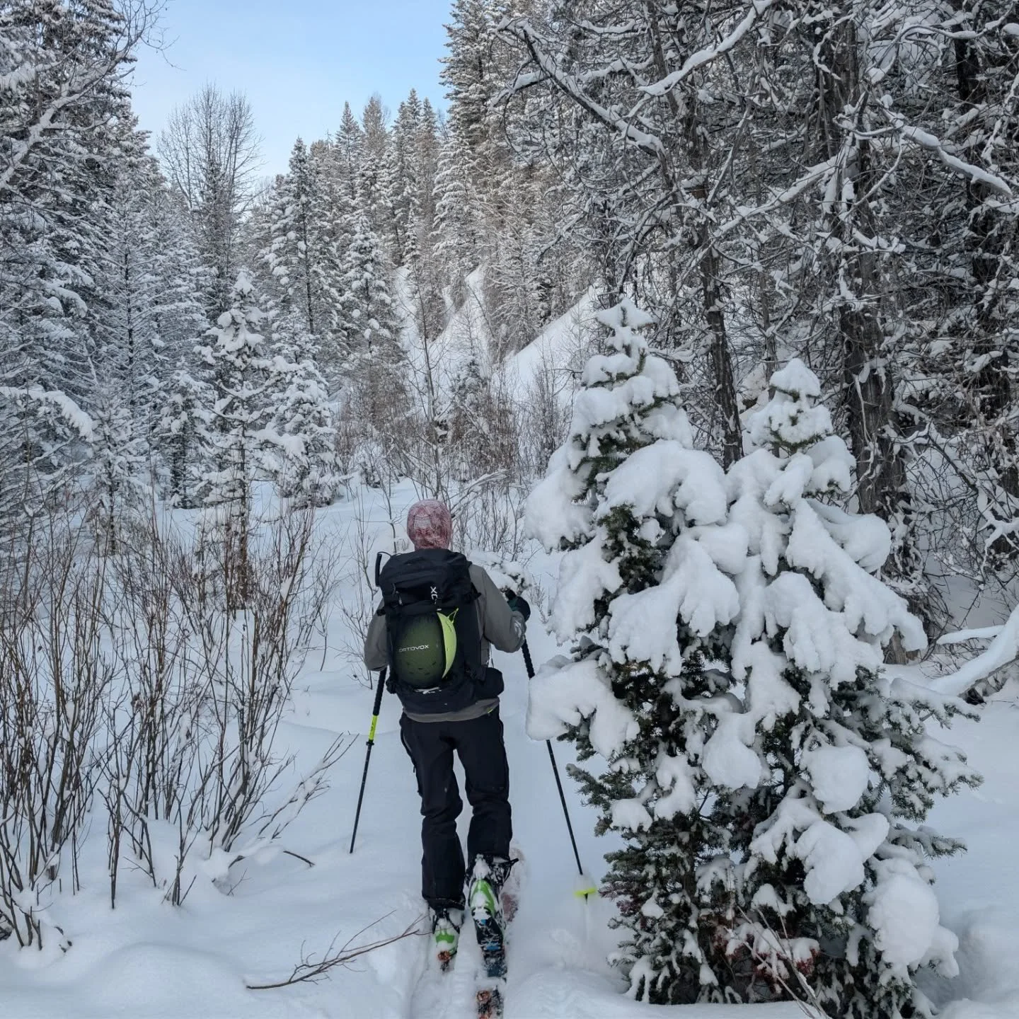 That's a wrap on our 2026 Partyka scholarship trip! We had an absolute blast with Mike this week. Throughout the week he skied a total of 22,934 vertical foot of ascent, Totalling 45,868 of vertical foot (ascent and descent). We're lucky to know you 