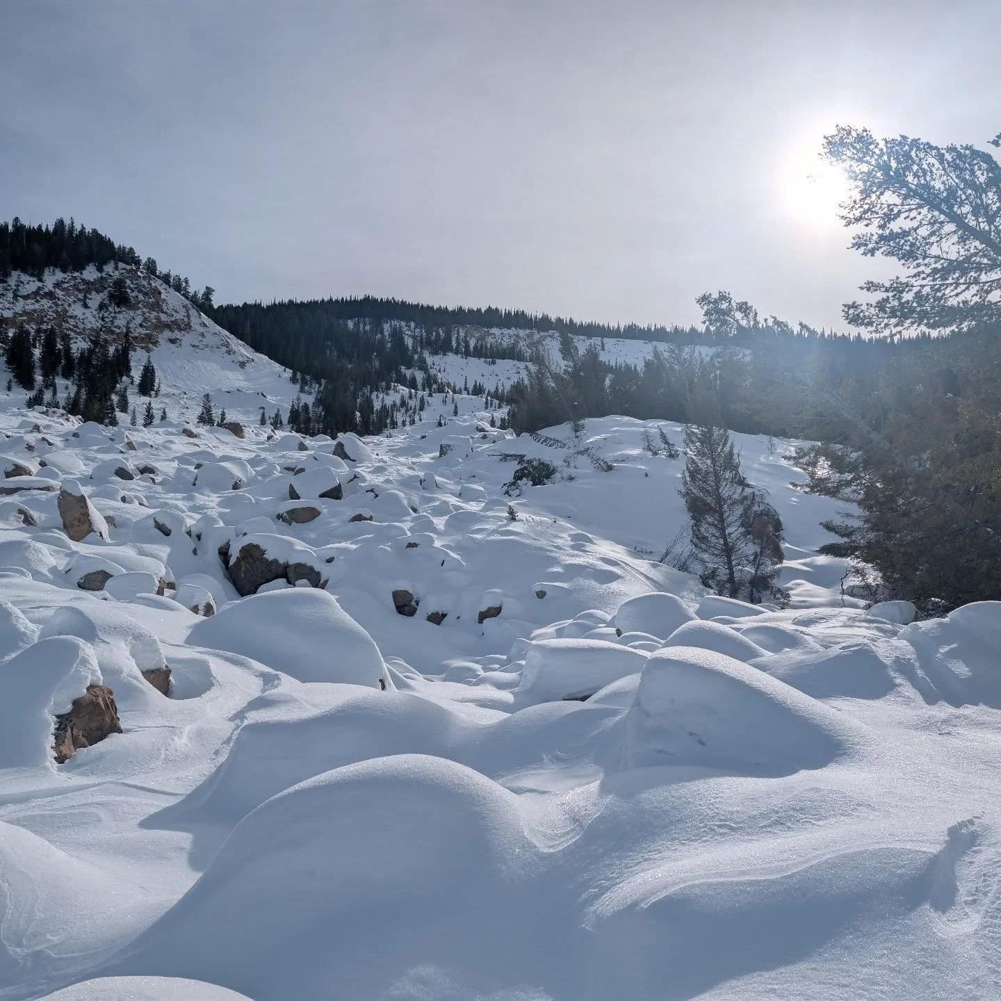 We're 24 hours away from starting our Partyka scholarship trip! We couldn't be more excited and wanted to say thank you so much to the sponsors who made this happen!
@sparkrandd 
@westonbackcountry 
@bivy 
@giverjh 
@rockwell_inn_jh 
@891khol 

And a