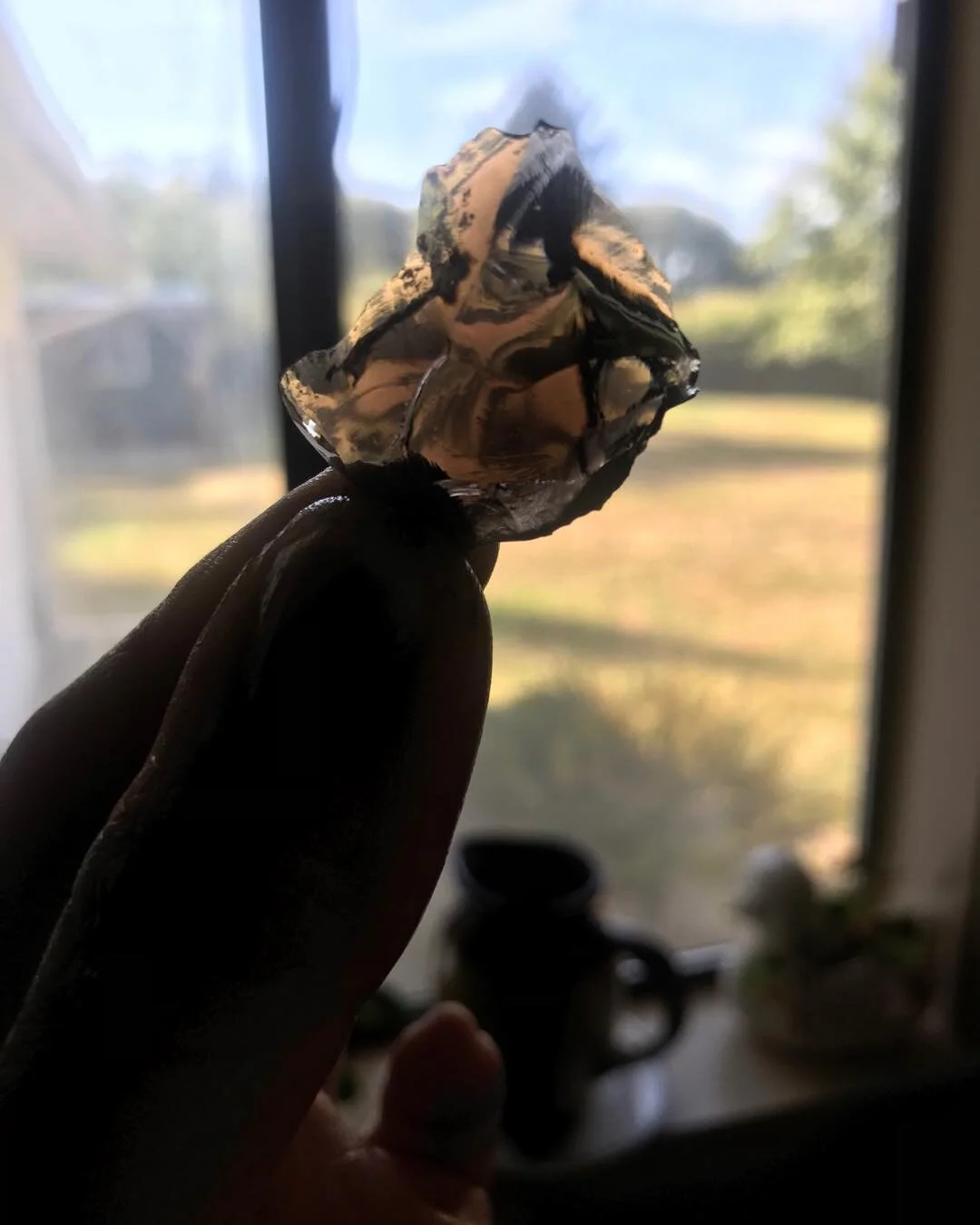 An interesting gift.
Found in driveway 9/7/20 🥰😍😍