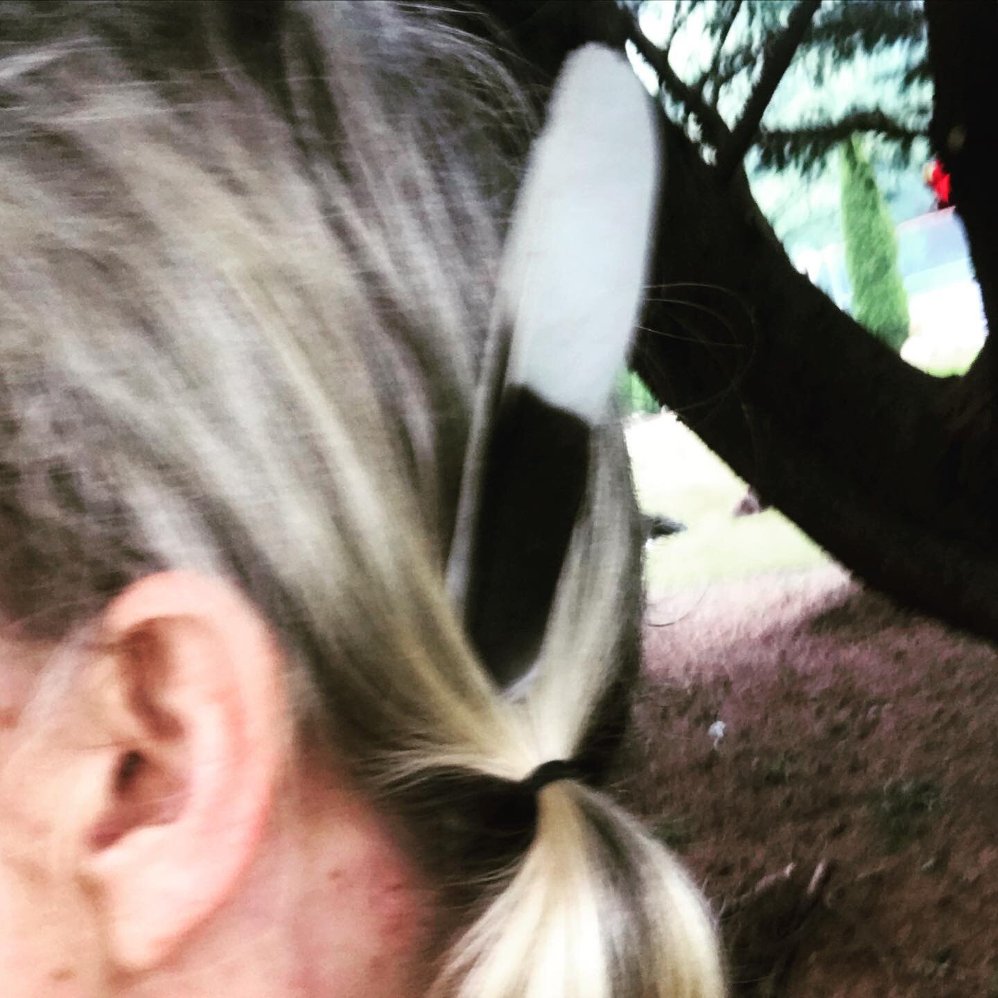 #feathers #omens 
we have fun together...mostly 😂😂😂
#yardwork #falliscoming