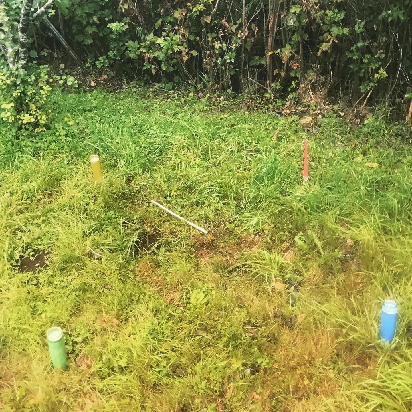 #fouraltars #magic #earth #lifeforceenergy #energywork