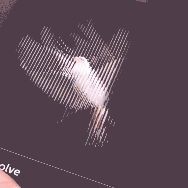 dissolve_lenticular2.gif