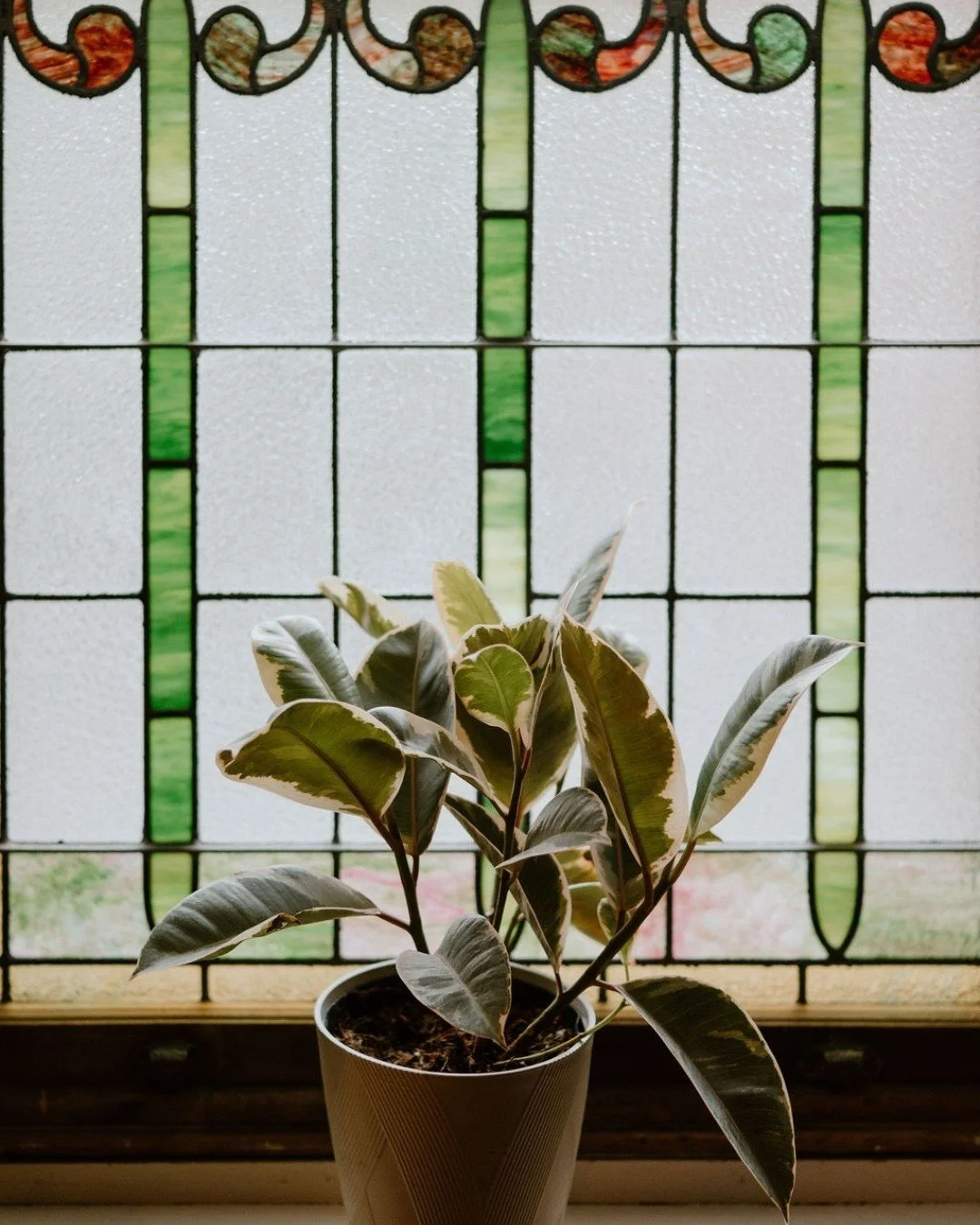 Texture, light, and everything in between.