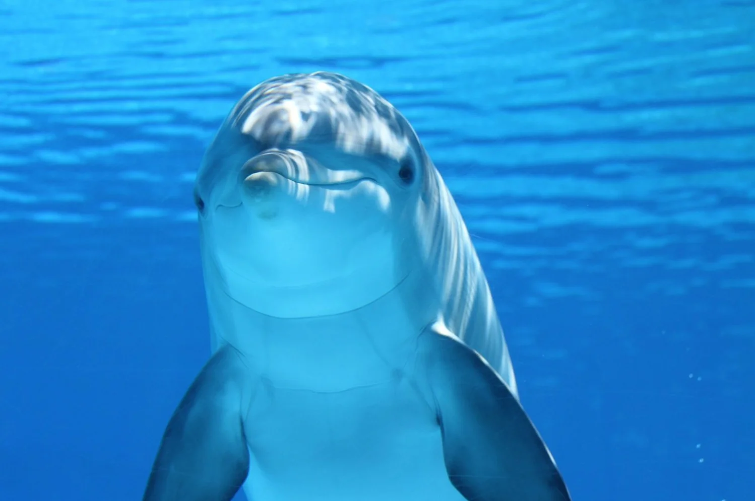 Tu peux faire la difference