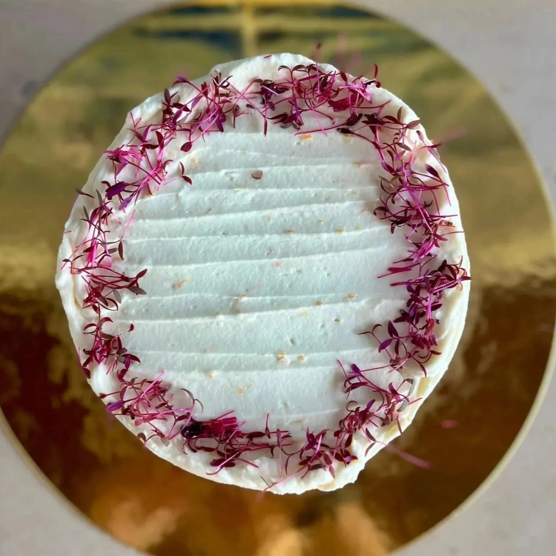 Citrus Carrot by TerraLeaf