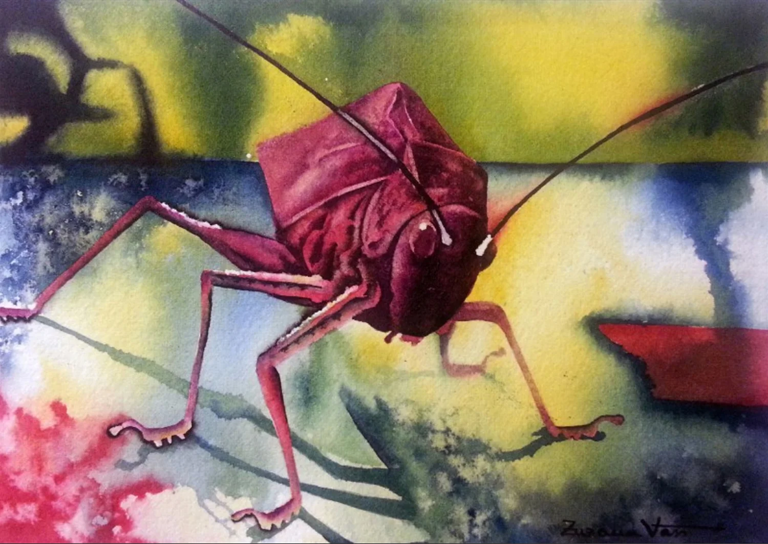 Grasshopper