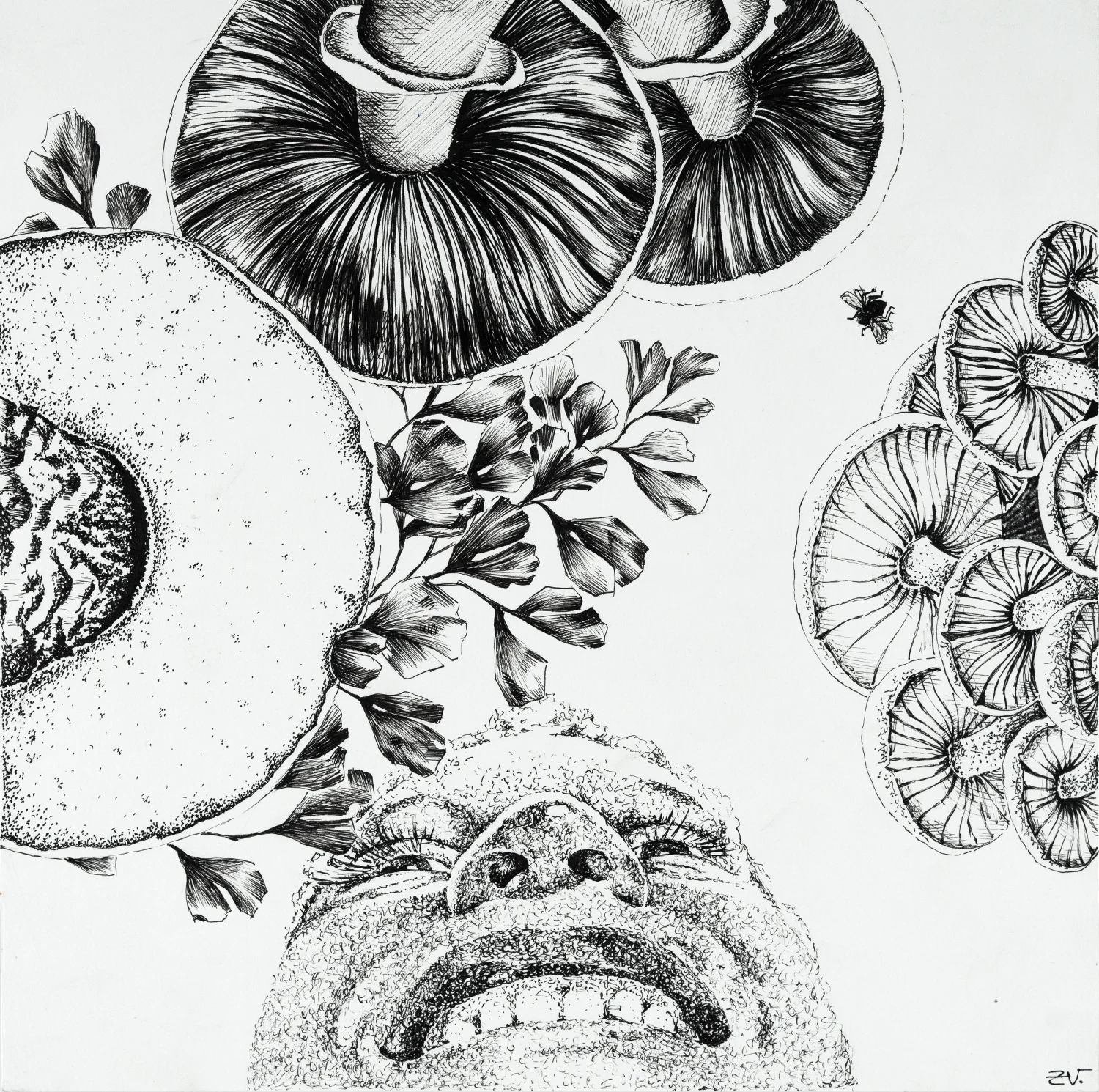 Mushrooms!