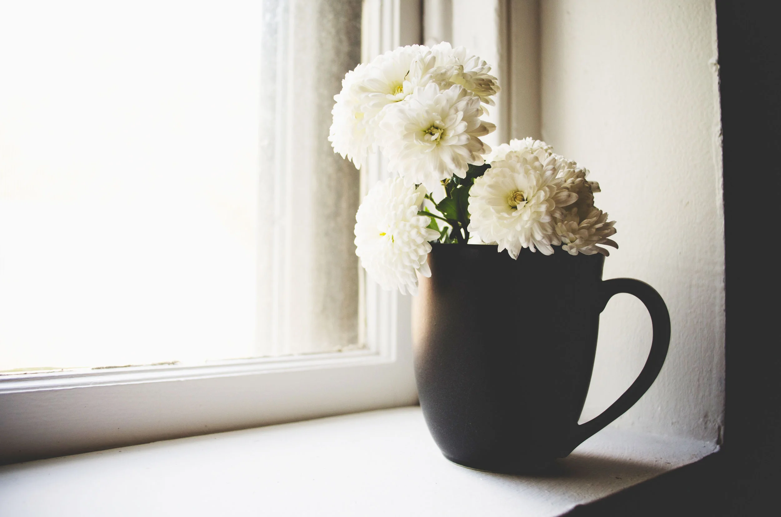Blomma-10-kelly-sikkema-unsplash-webb-2500x1656.jpg