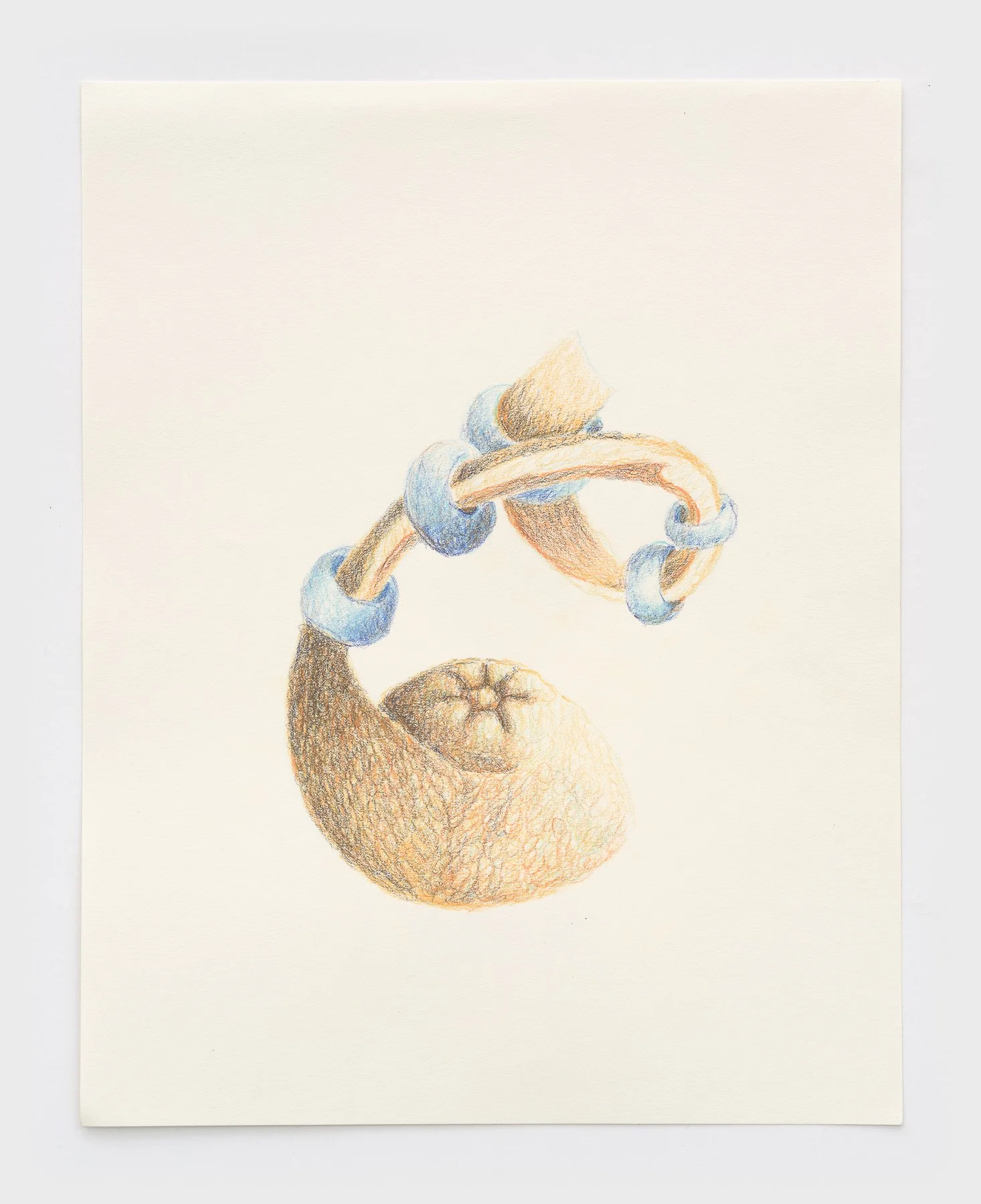   Necklace  2026 colored pencil on paper 14 x 11 inches 