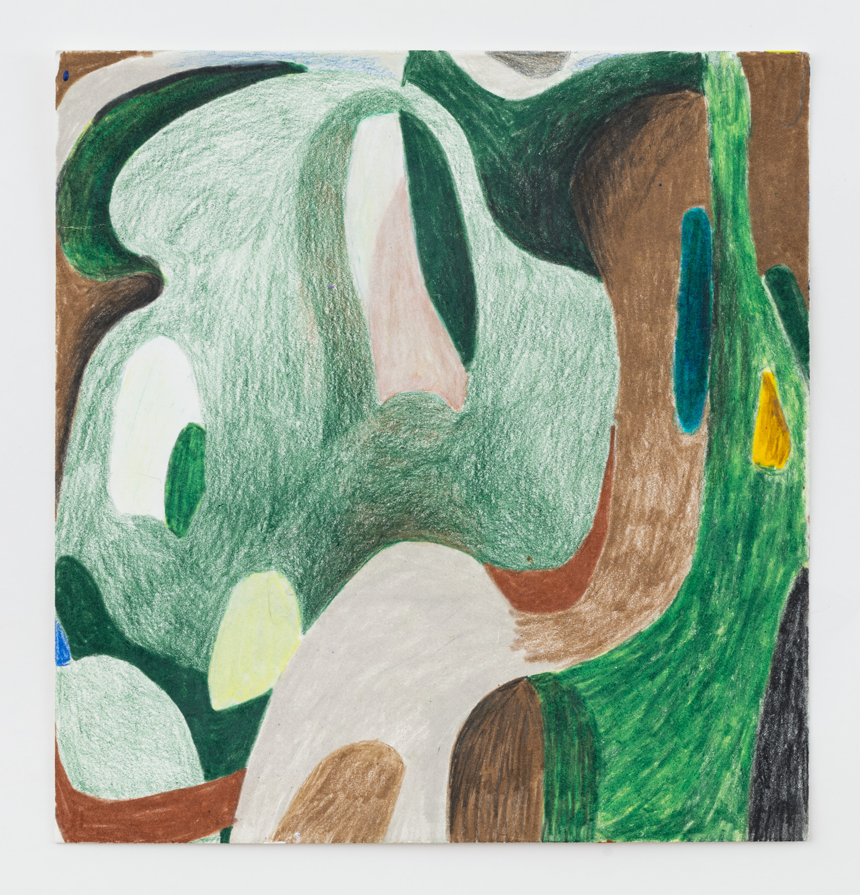 Mamushi 2018 Colored pencil on paper 8” x 7½”