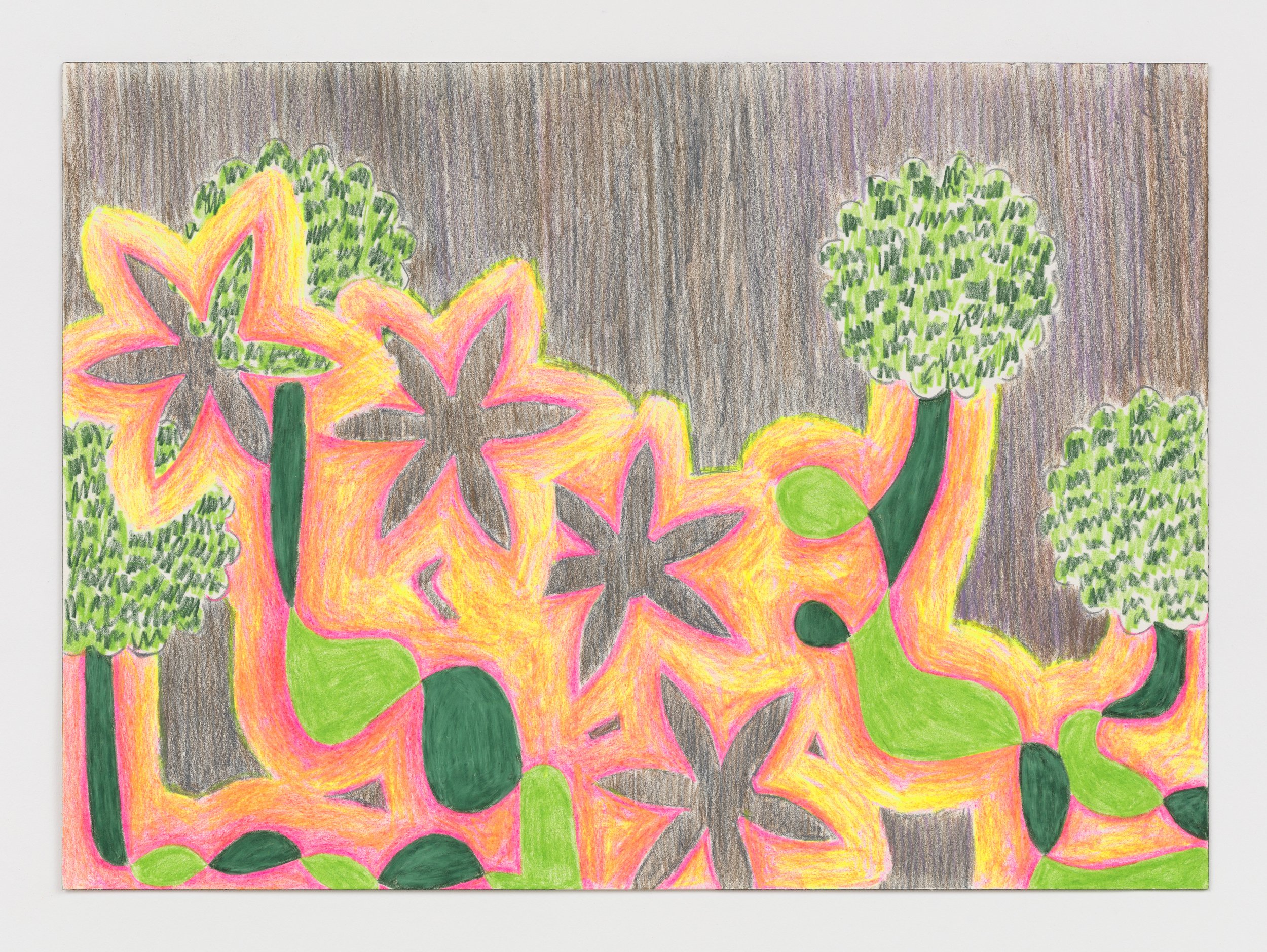   Dune Fauna  2020 colored pencil on paper 14 x 10 inches 