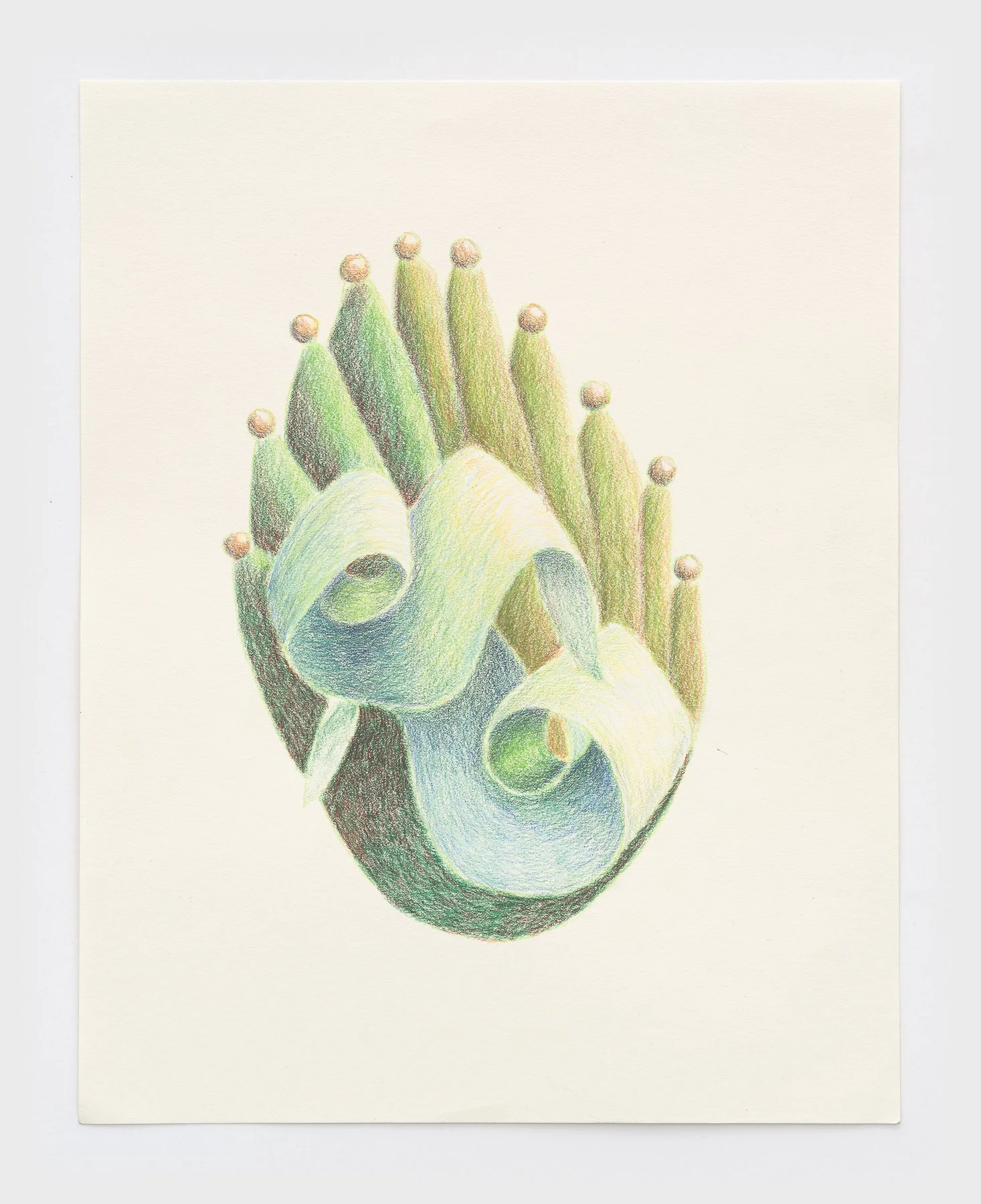   Hermit crabs  2026 colored pencil on paper 14 x 11 inches 