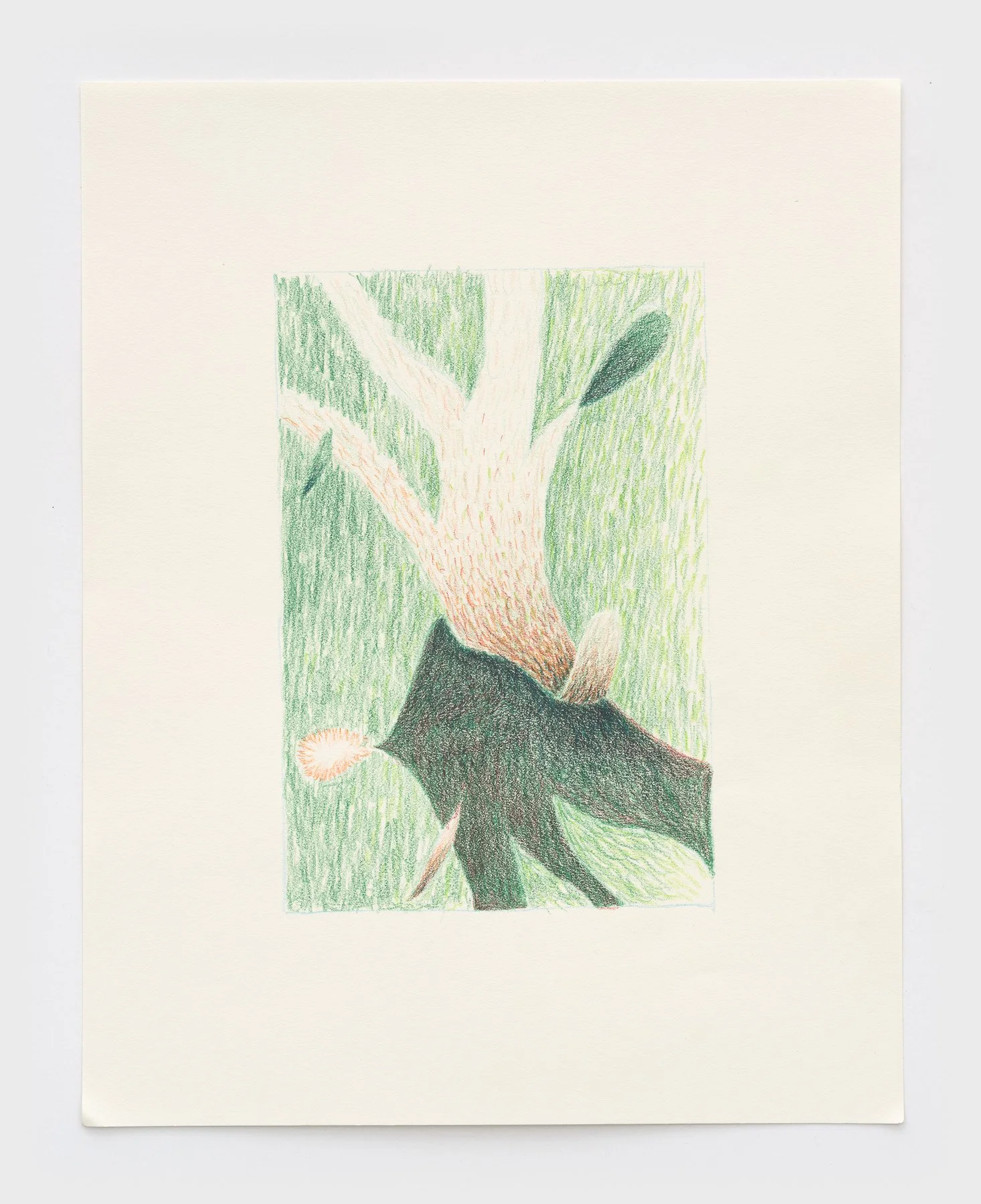   1,000 Dandelions  2026 of the wind 14 x 11 inches 