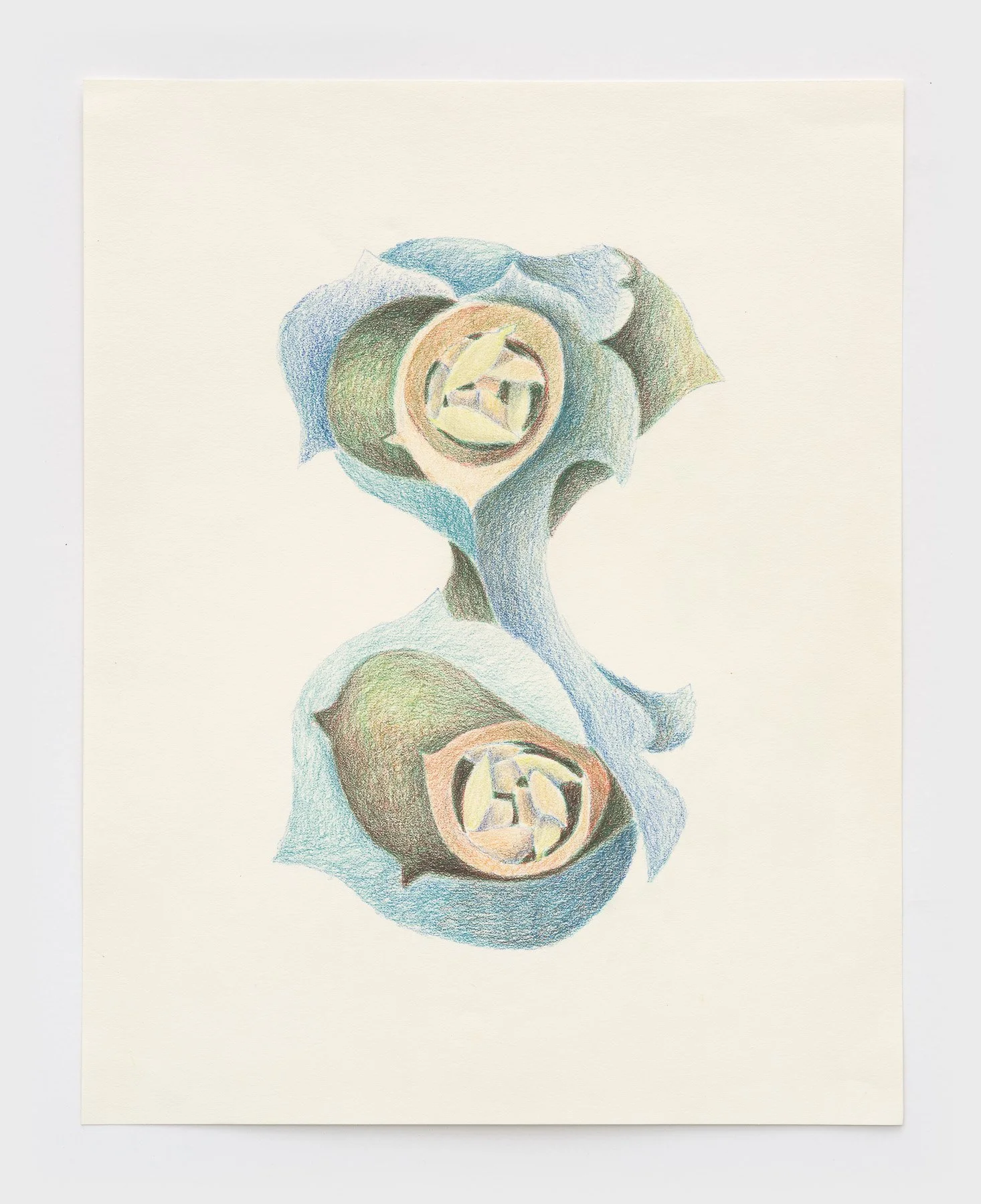   Wave  2026 colored pencil on paper 14 x 11 inches 