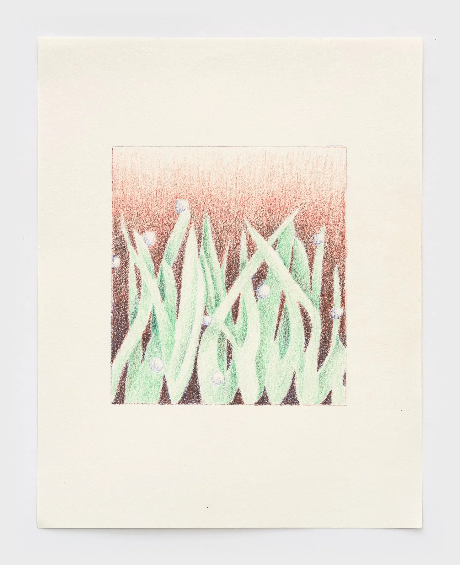   Thunder  2026 colored pencil on paper 14 x 11 inches 