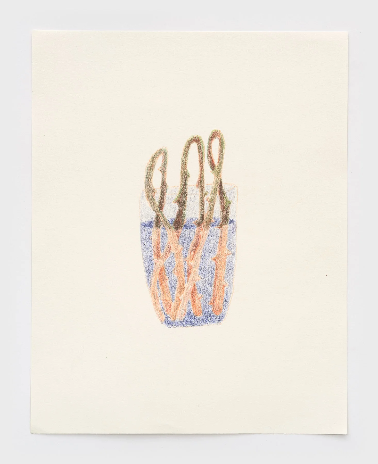   Bouquet  2026 colored pencil on paper 14 x 11 inches 