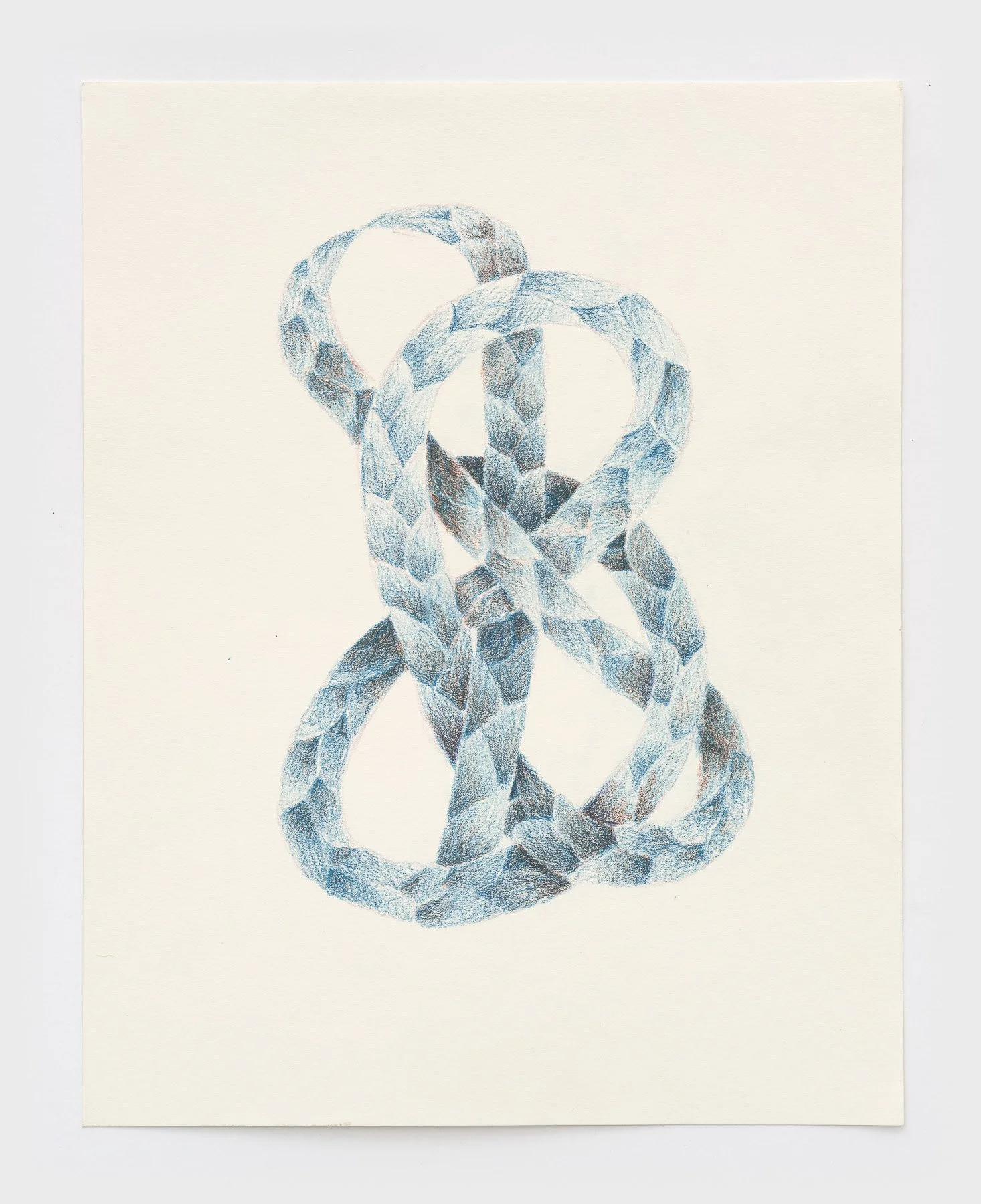   Entwined  2026 colored pencil on paper 14 x 11 inches 