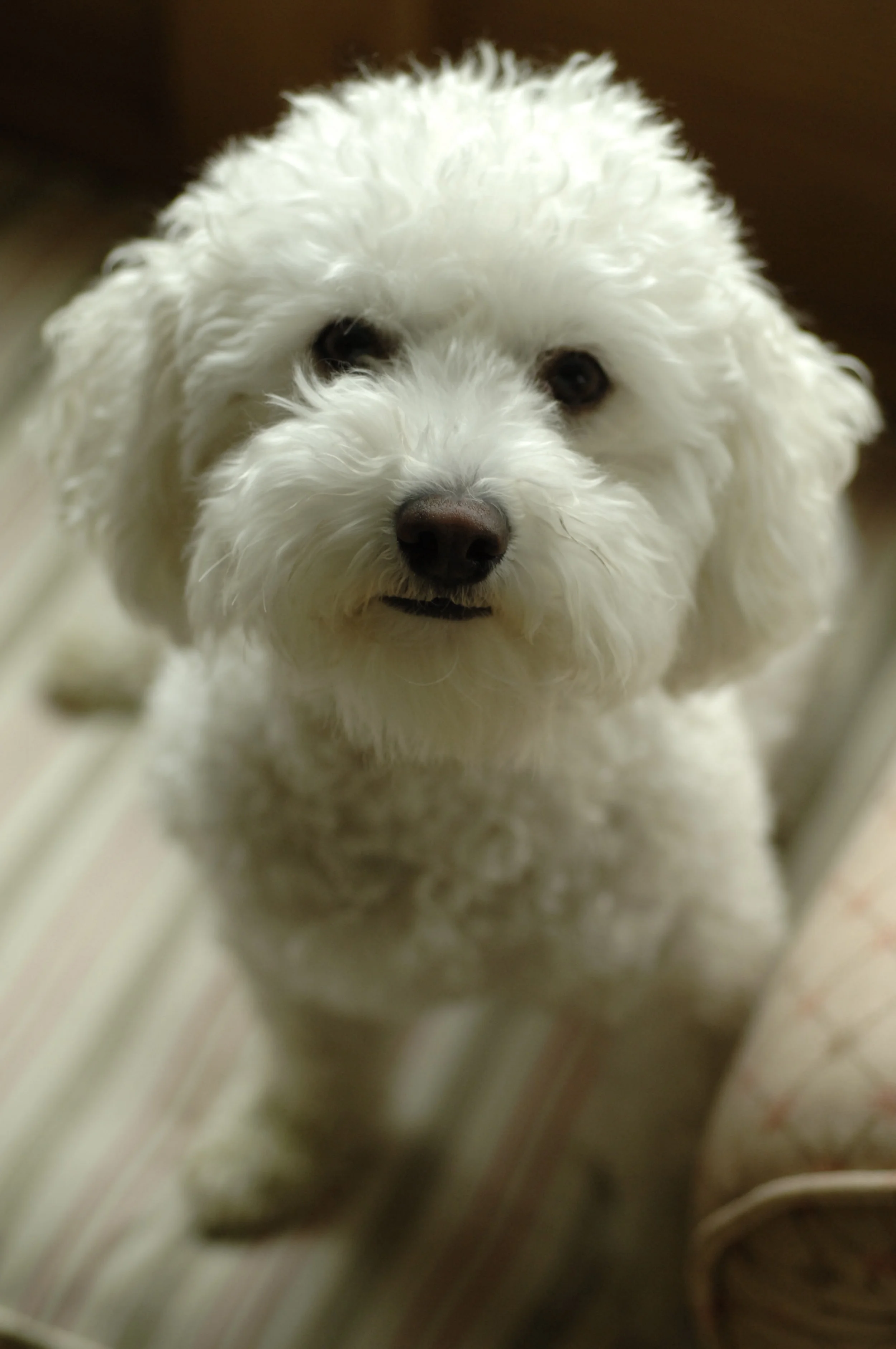 My Husband’s Girlfriend Is A Bitch