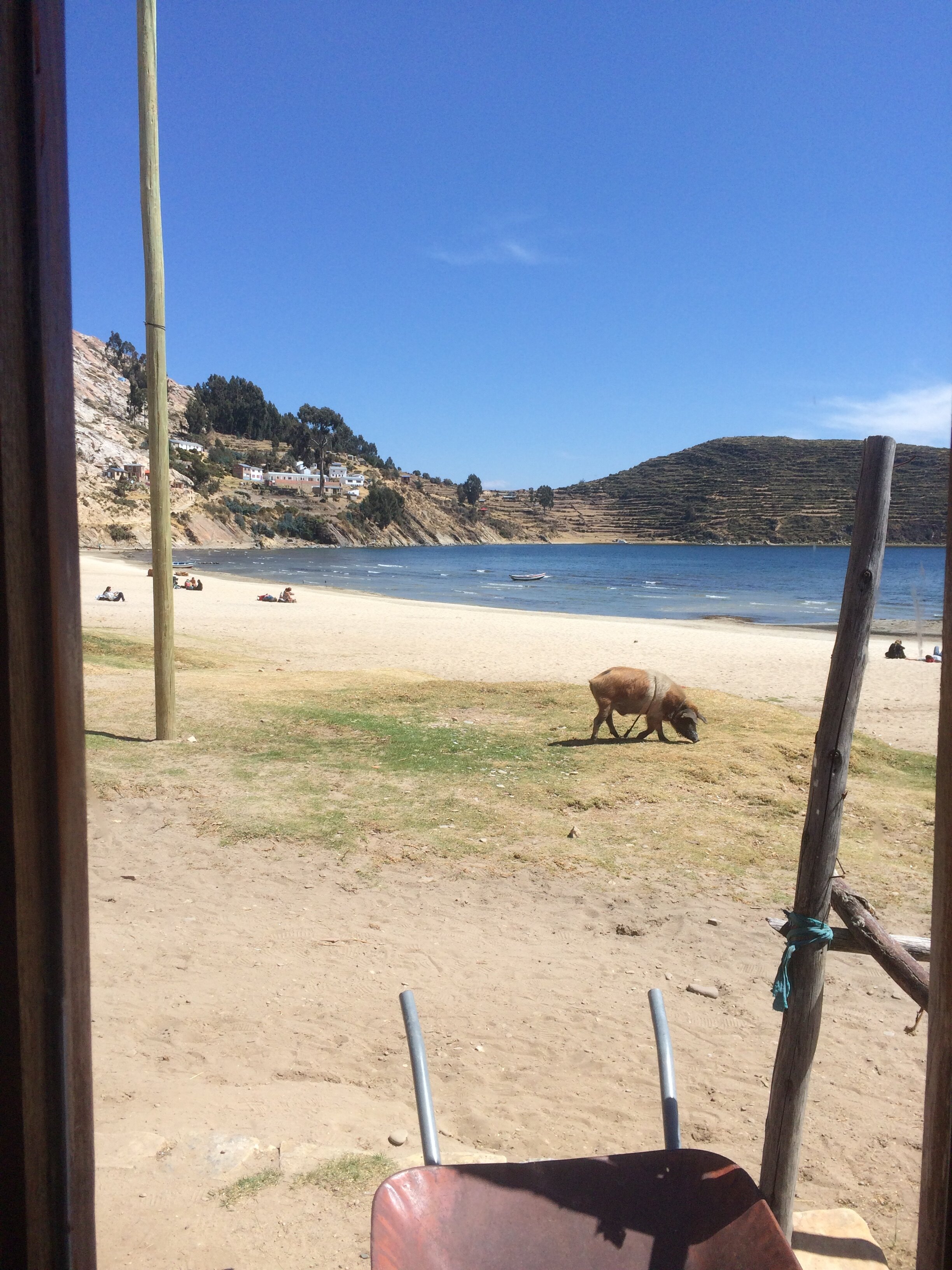 IMG_2912.jpeg