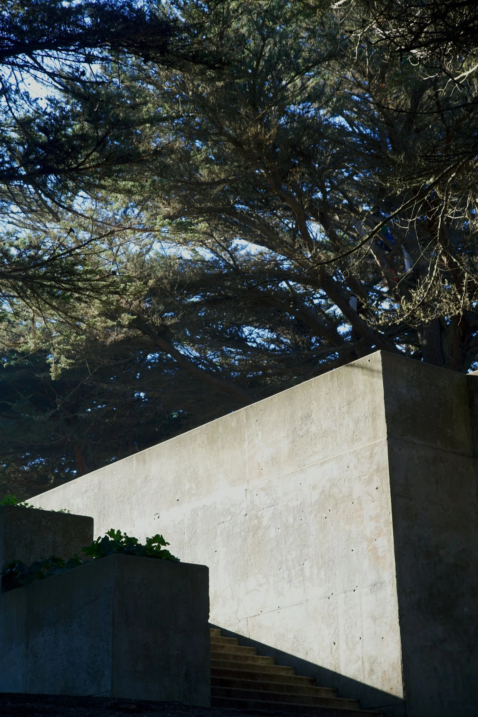 Sutro+Stairs+1.jpg