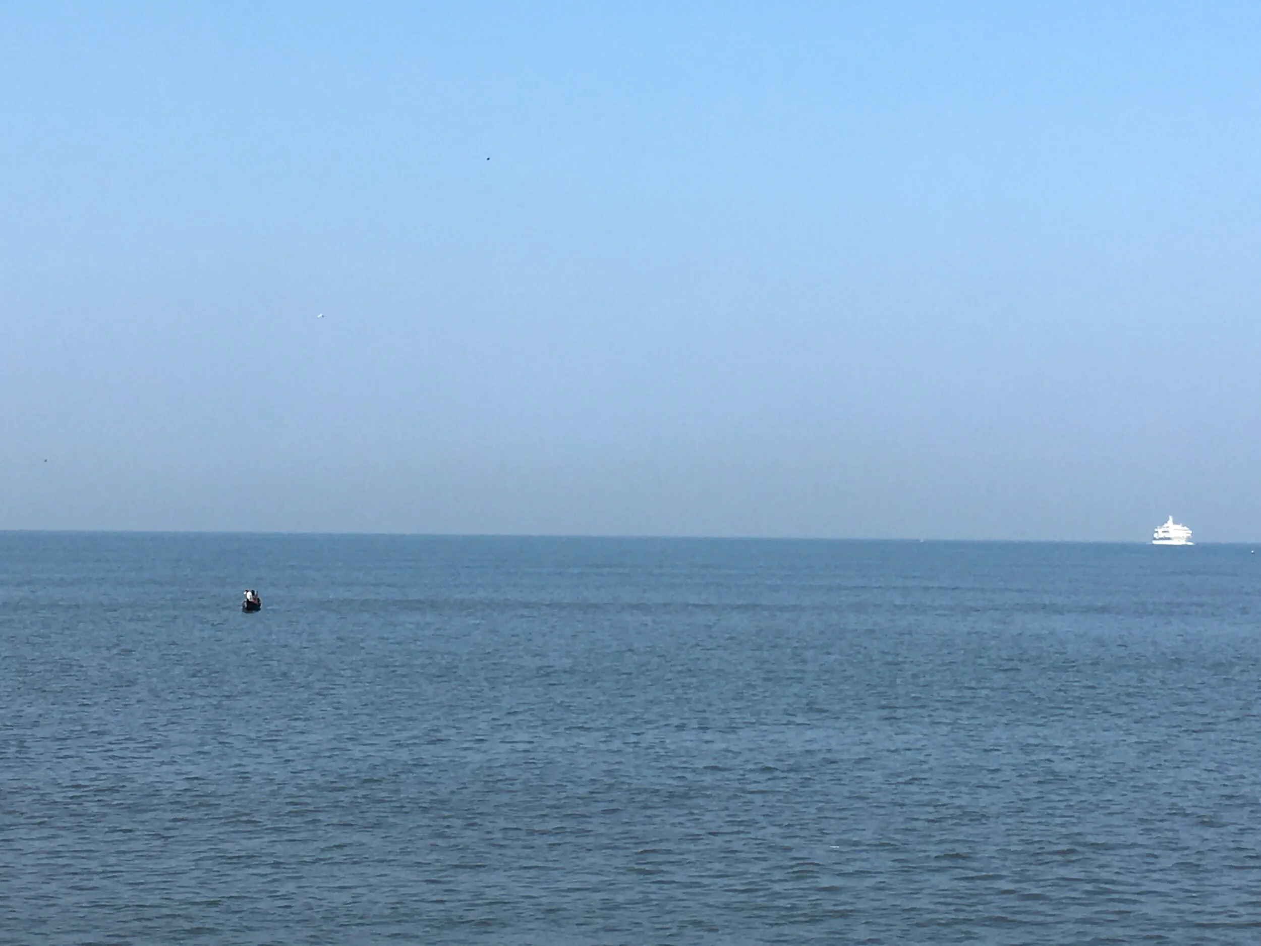 Insights and Reflections on Improvisation