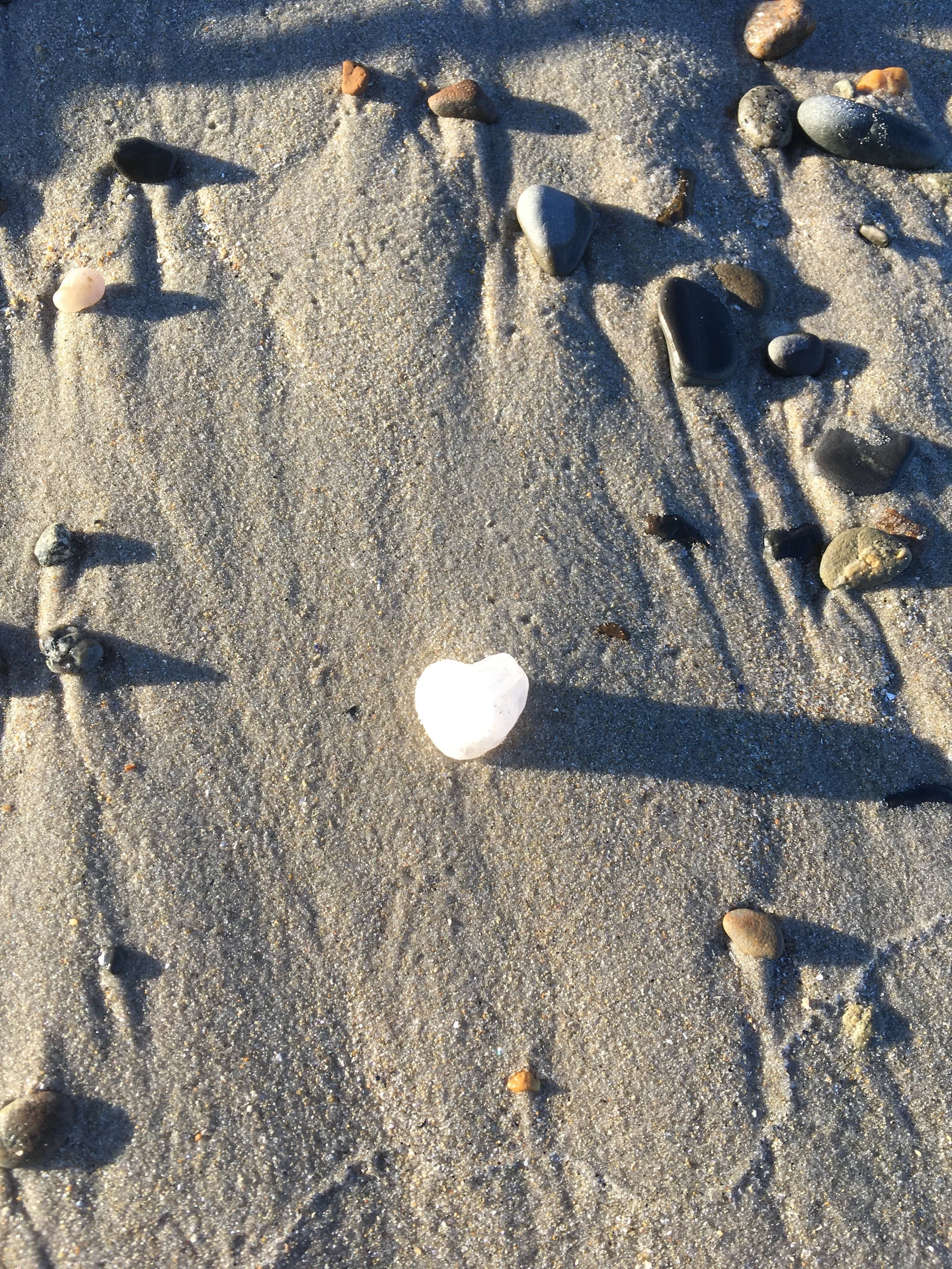 April Yoga Nidra - ONLINE