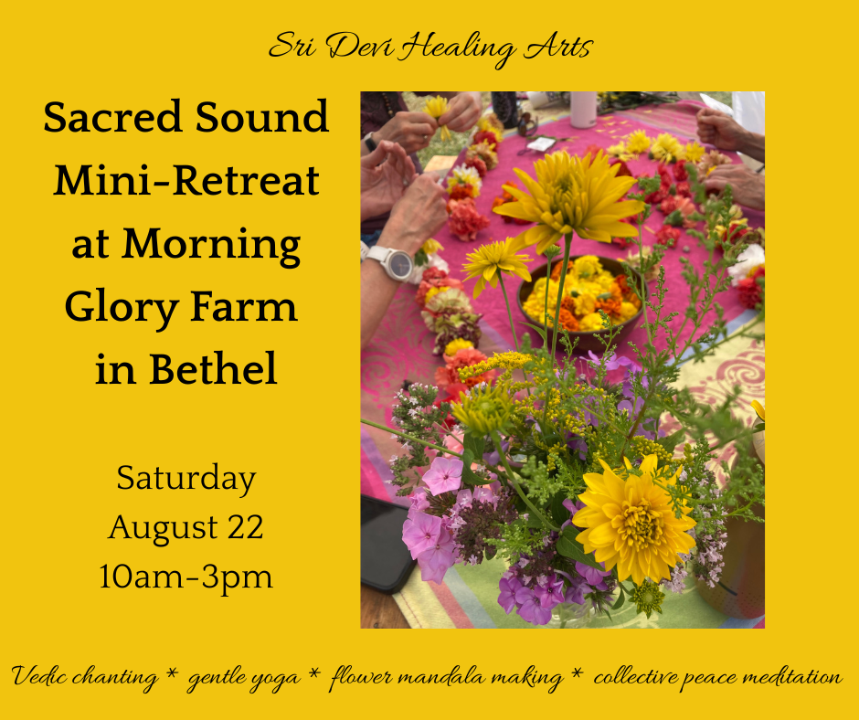 Join us for a day of cultivating collective peace in like-minded community.