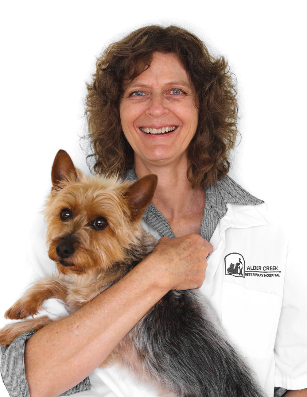 Alder Creek Veterinary Hospital Alder Creek Veterinary Hospital