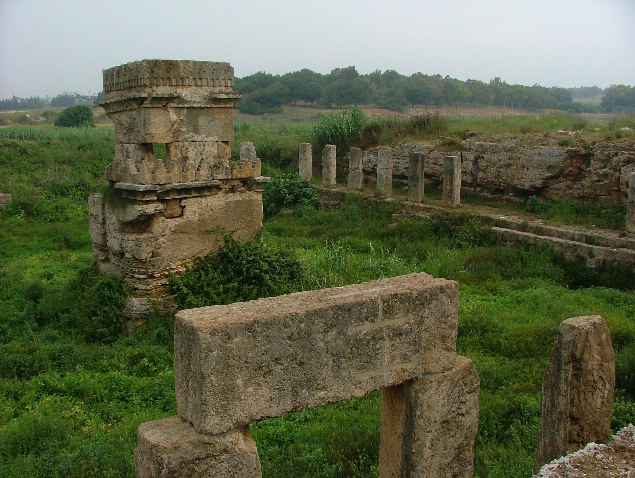 265 - Amrit.jpg