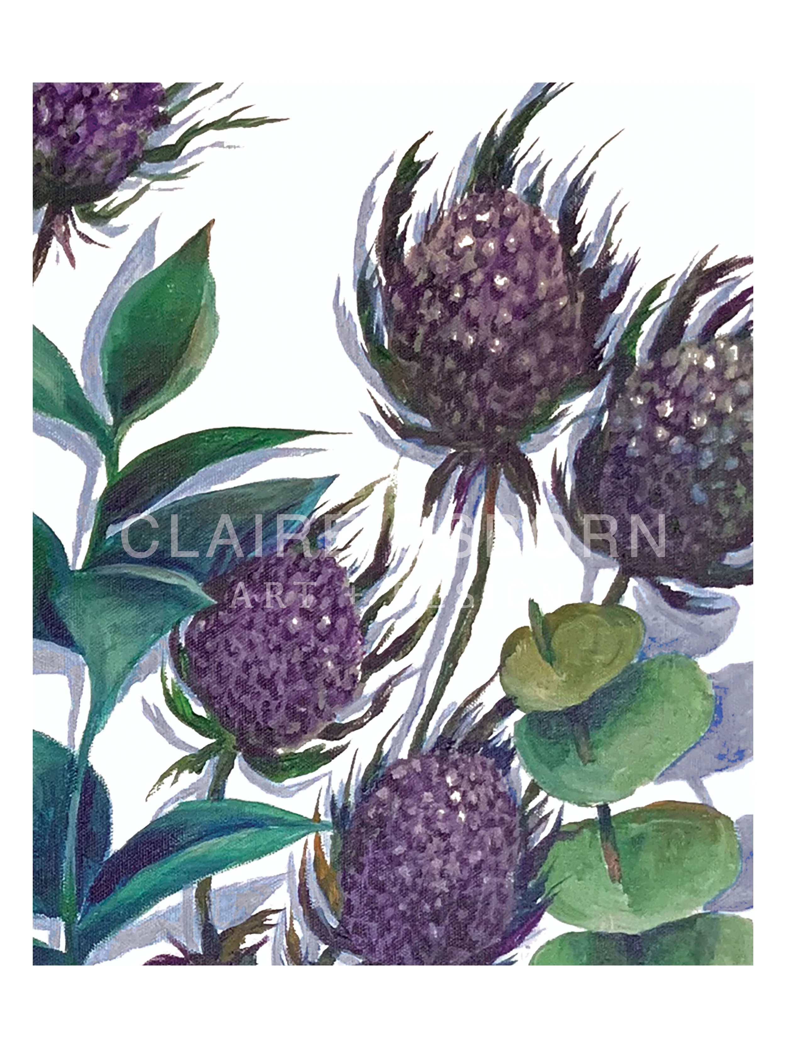 Eryngiums WM CROP.1.jpg