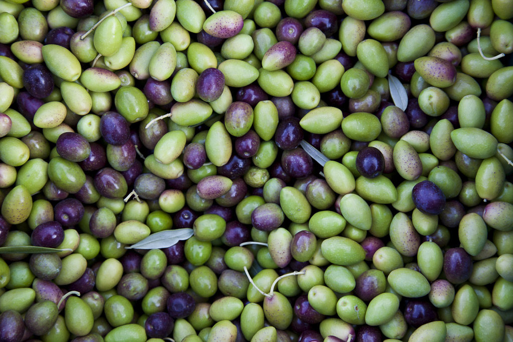 Olives.jpg