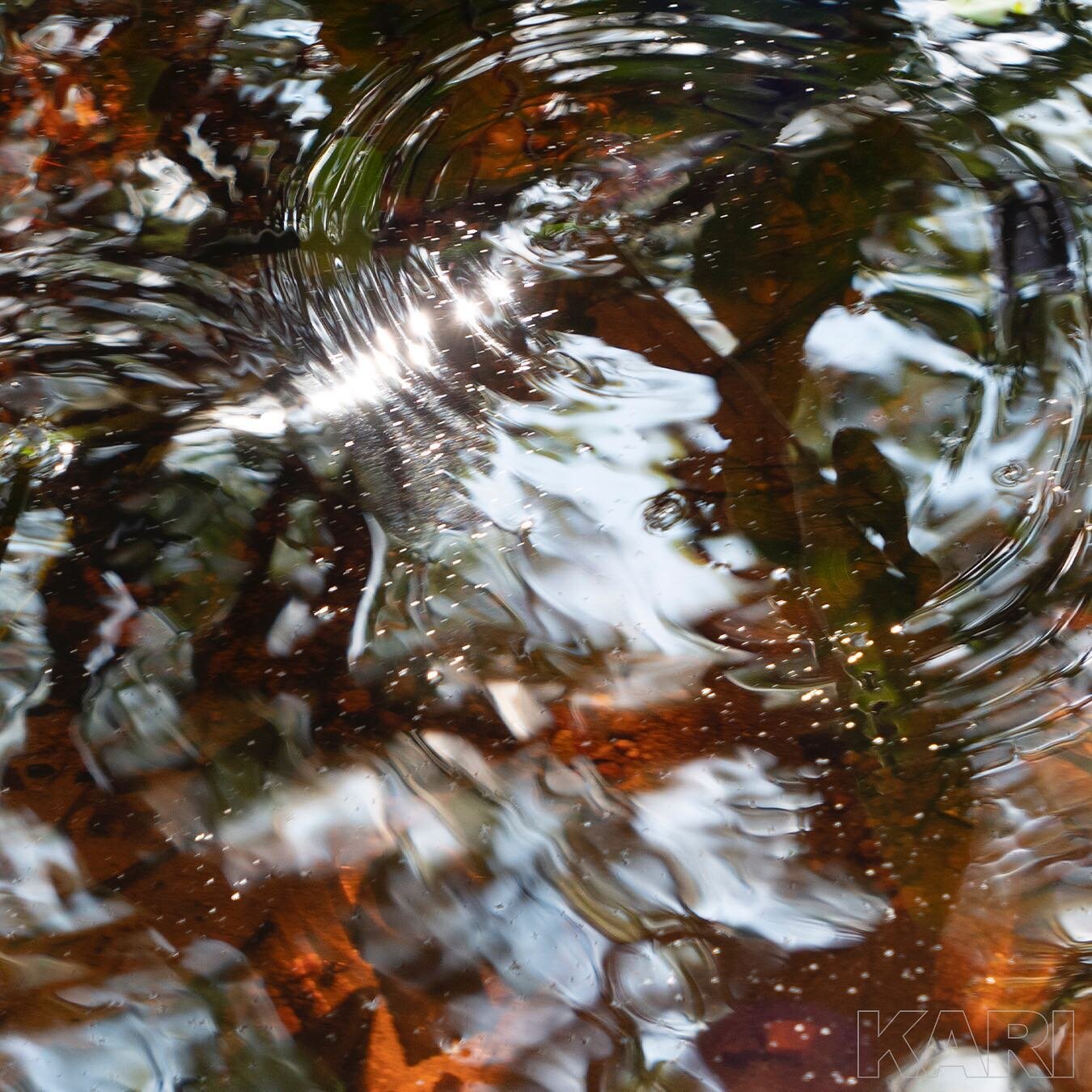 Summer reflections
 - Sondra
.
.
.
#lookthrumylens #lakeside #summerdreams #naturewalks #natureisbeauty #meditation #artphotography #lumix #photography #meditation #meditationinnature #artgallery #artist #artinlife