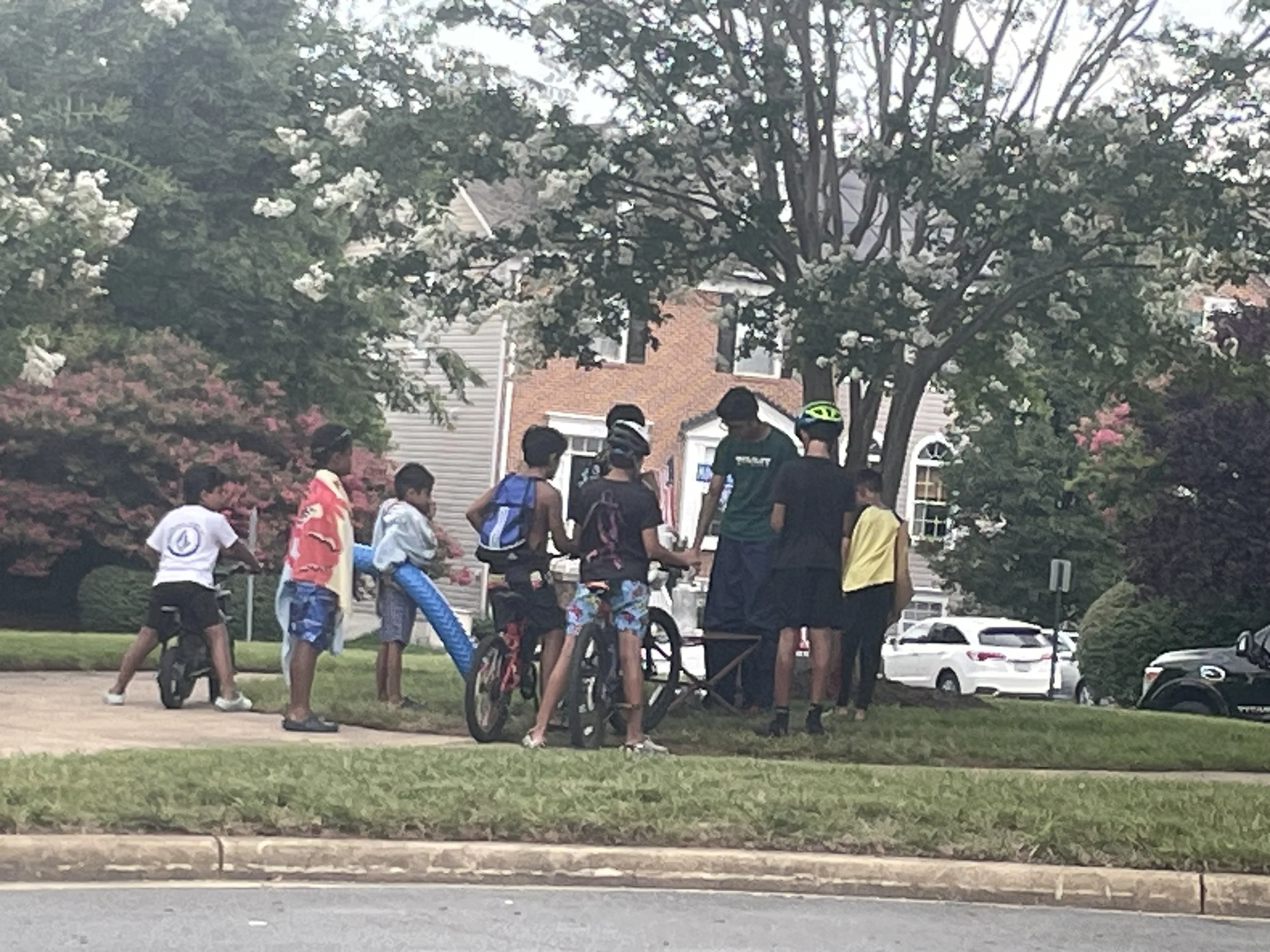 NeighborhoodBoys.jpg