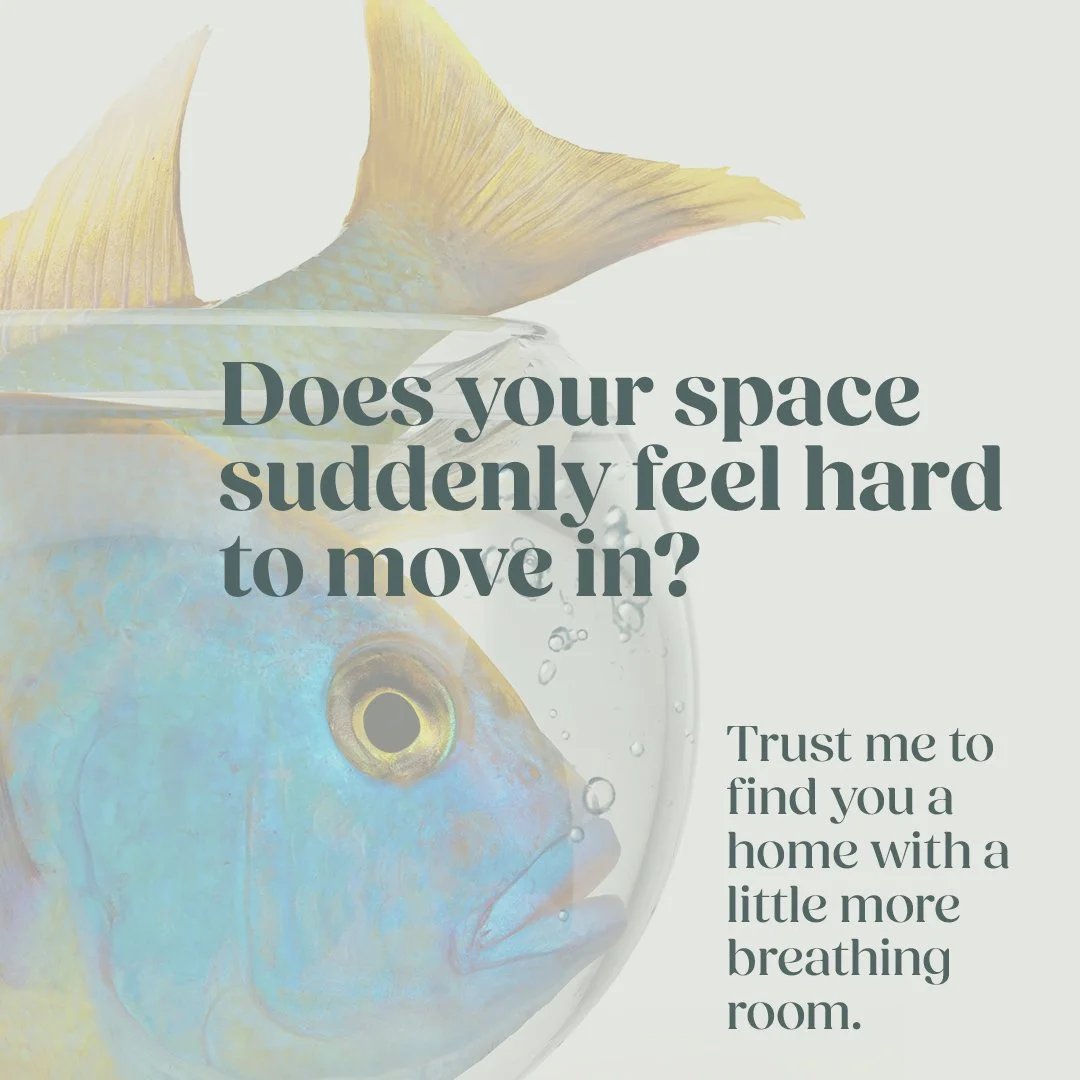 If you feel like you've been treading water looking for your dream home, don't fear! Let's work together to find you a place with space for all your needs as you grow.

#cramped #nospace #moving #selling #realestate #rmsma
